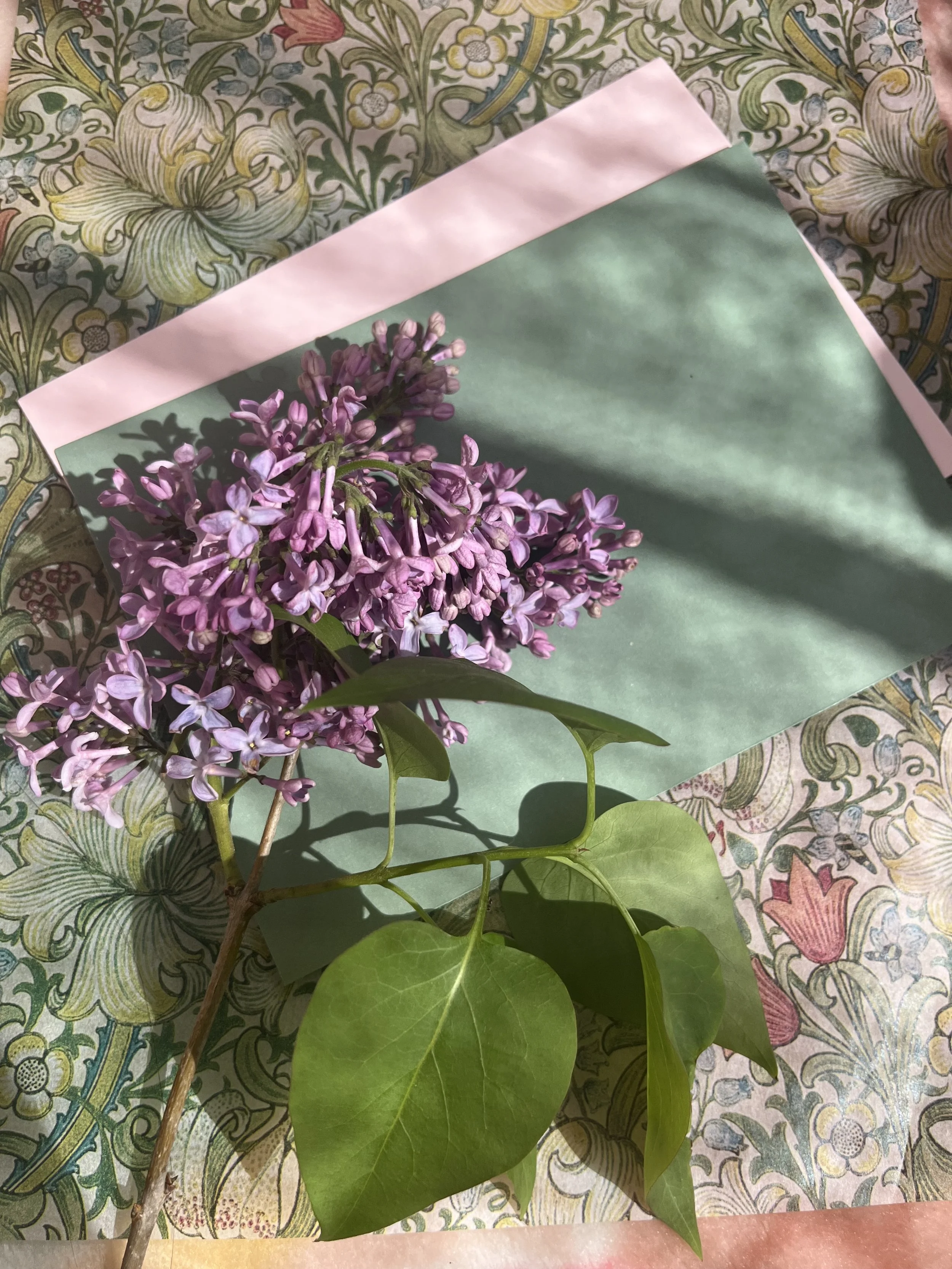 IMG_6990.jpeg