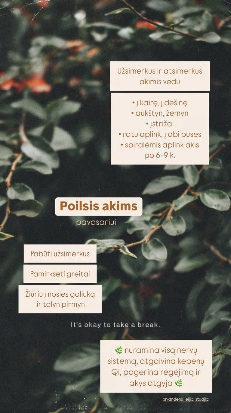 Vandens Lelija studija poilsis-akims.jpg