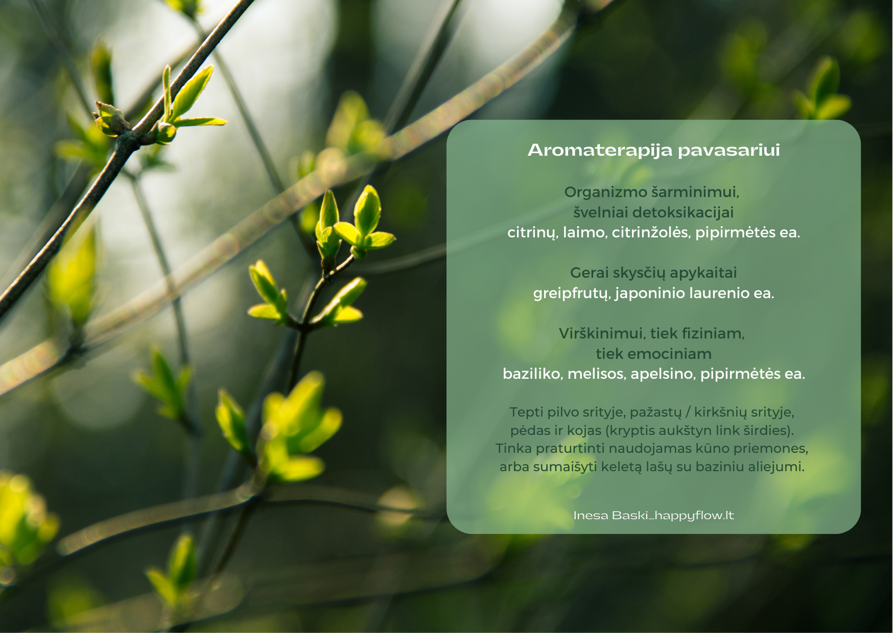 aromaterapija_pavasariui_inesabaski.png