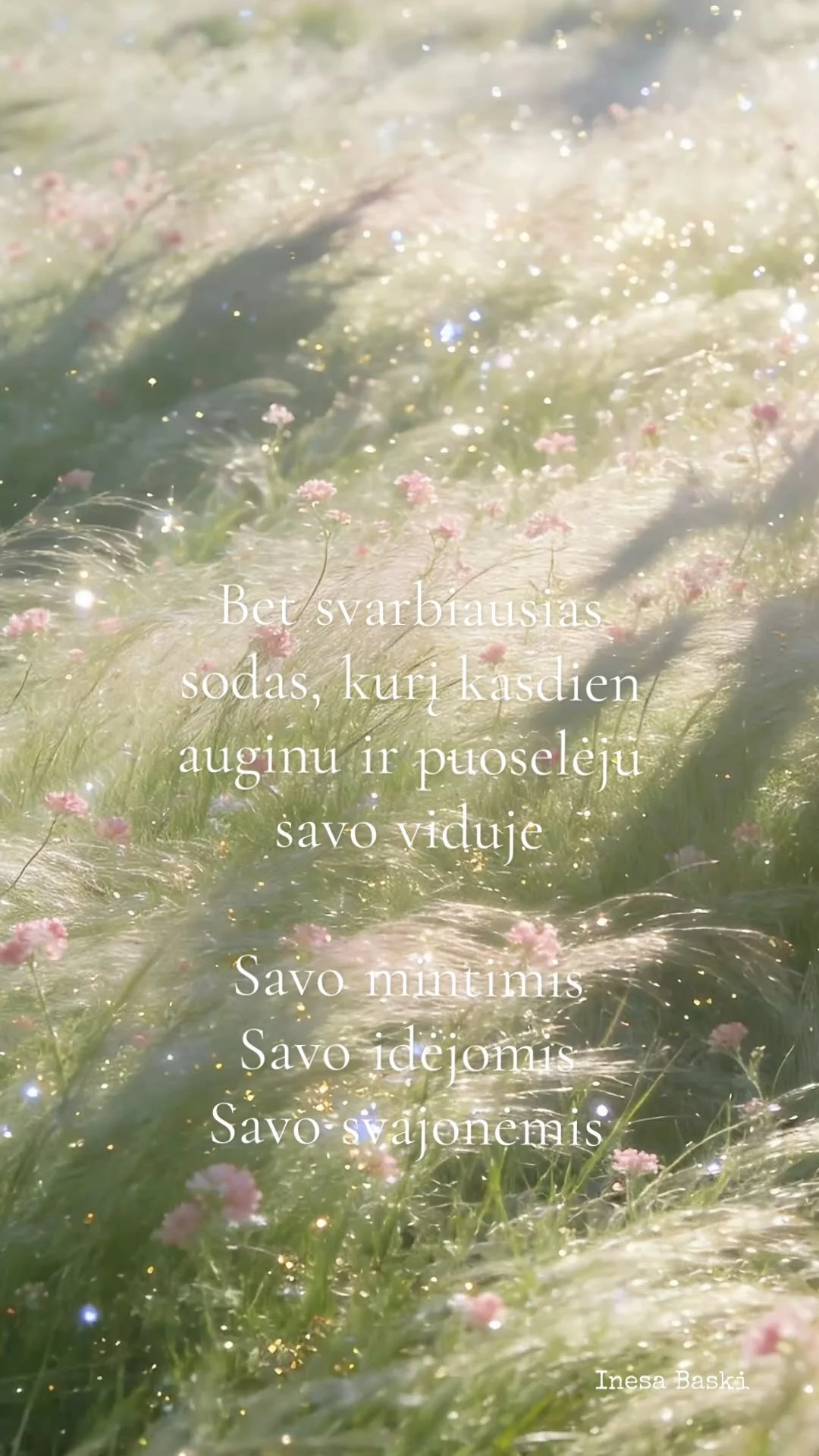 Saulėje švytinčios plunksninės žolės su smulkiais rausvais žiedais. Užrašas: Bet svarbiausias sodas, kurį kasdien auginu ir puoselėju savo viduje. Inesa Baski.