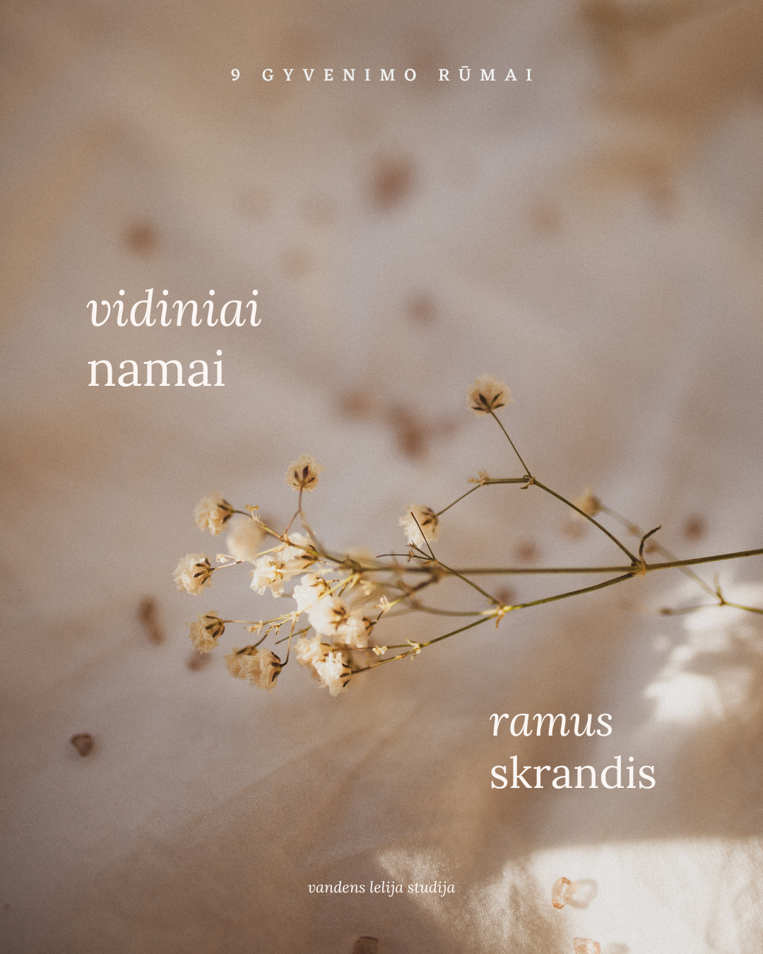 9 gyvenimo rūmai. Vidiniai namai