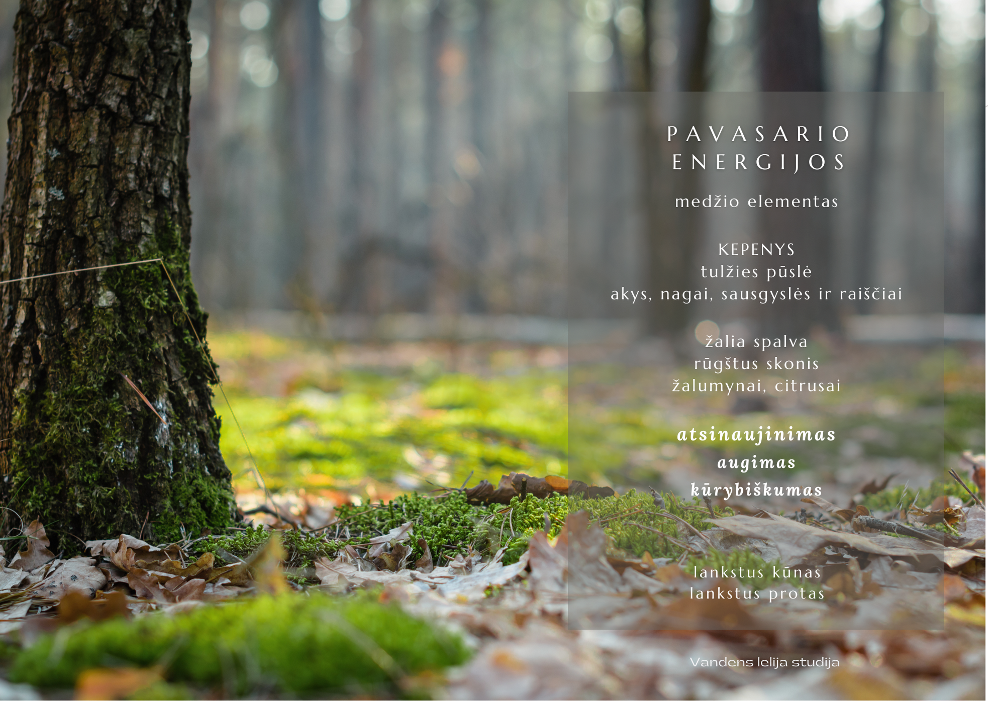 pavasario energija medis
