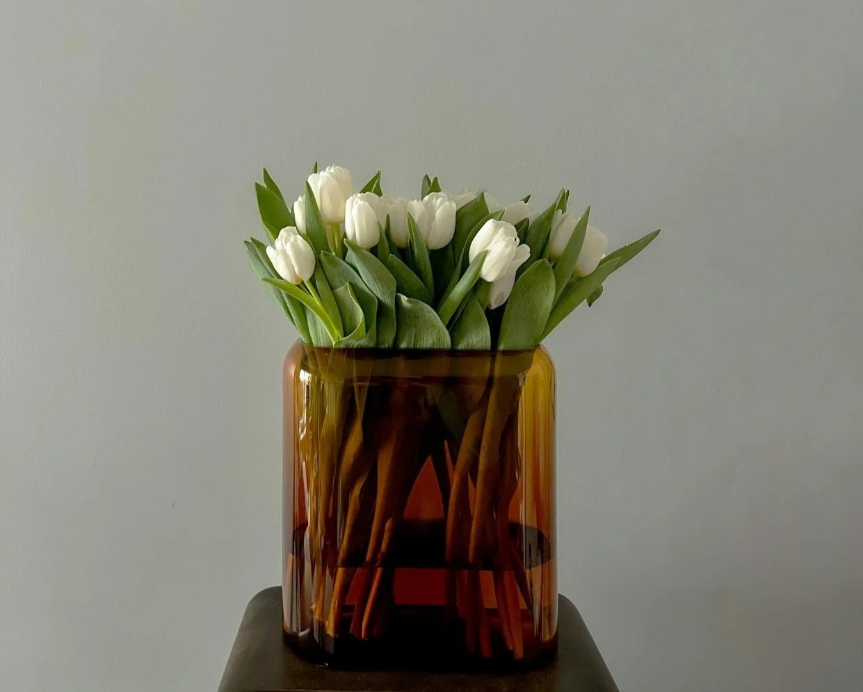 Timeless Tullips