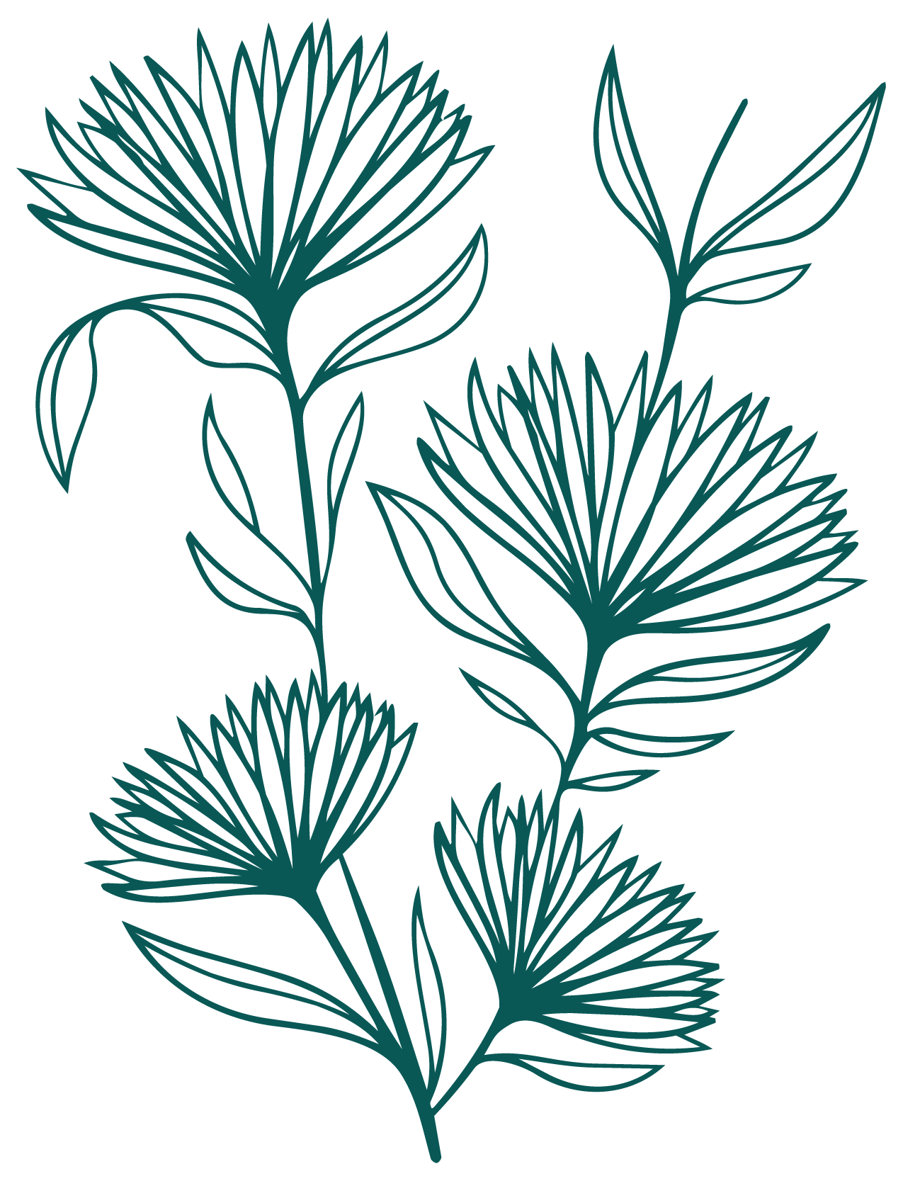 Stylized botanical illustration of five ferns with detailed fronds and leaves on a black background