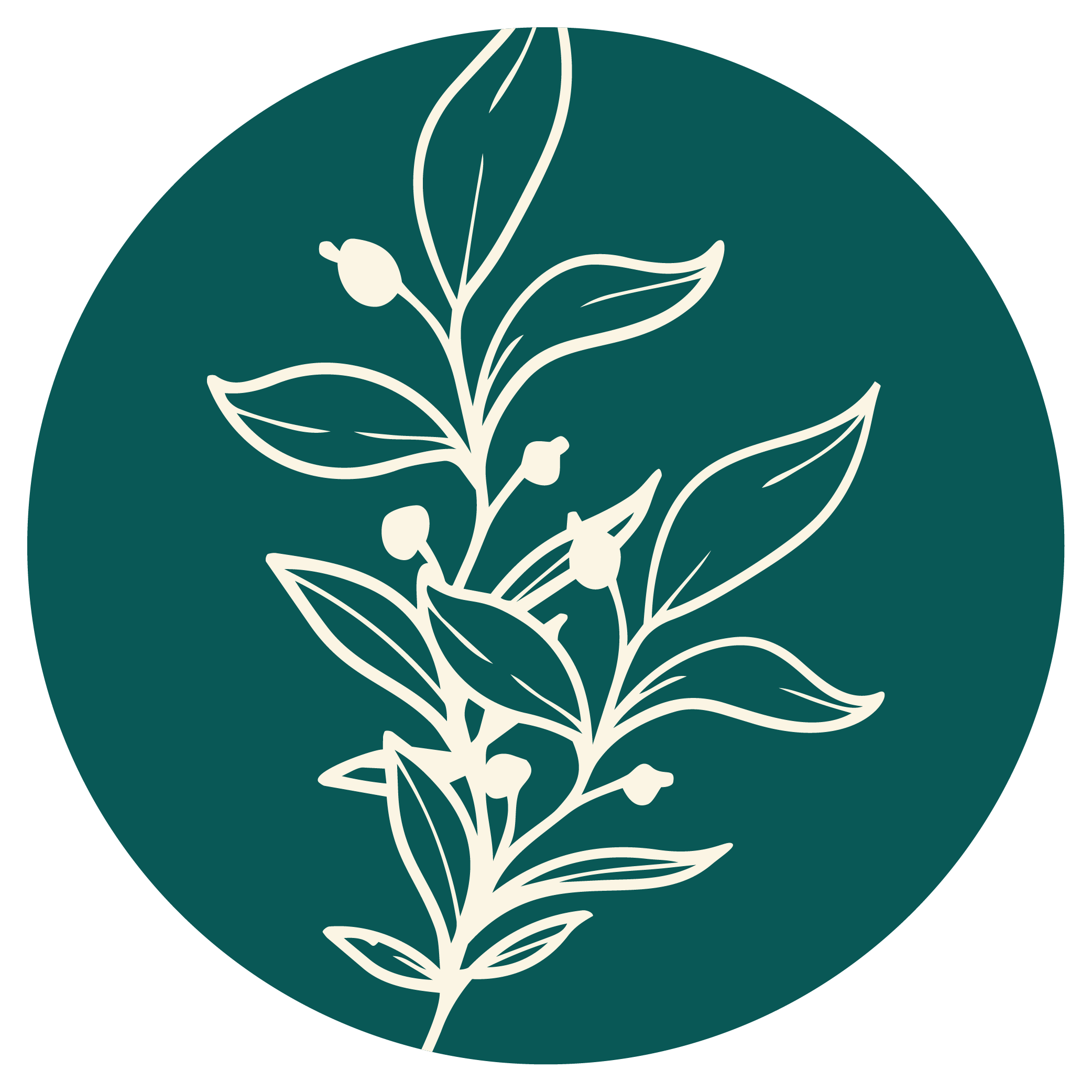 White line drawing of a plant with leaves and berries on a dark teal circular background.