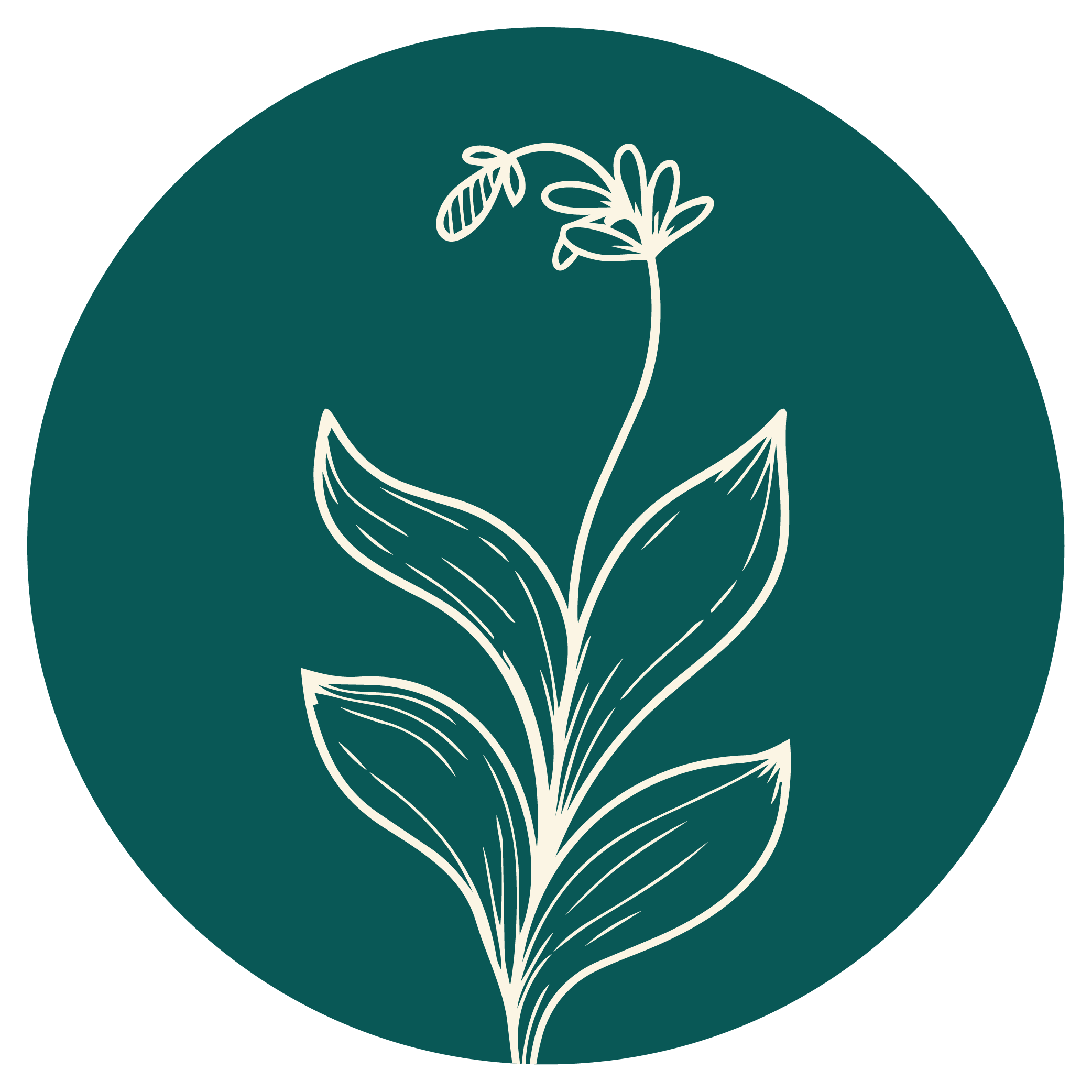 A minimalist line drawing of a plant with several leaves and a small flower at the top, on a dark green circular background.
