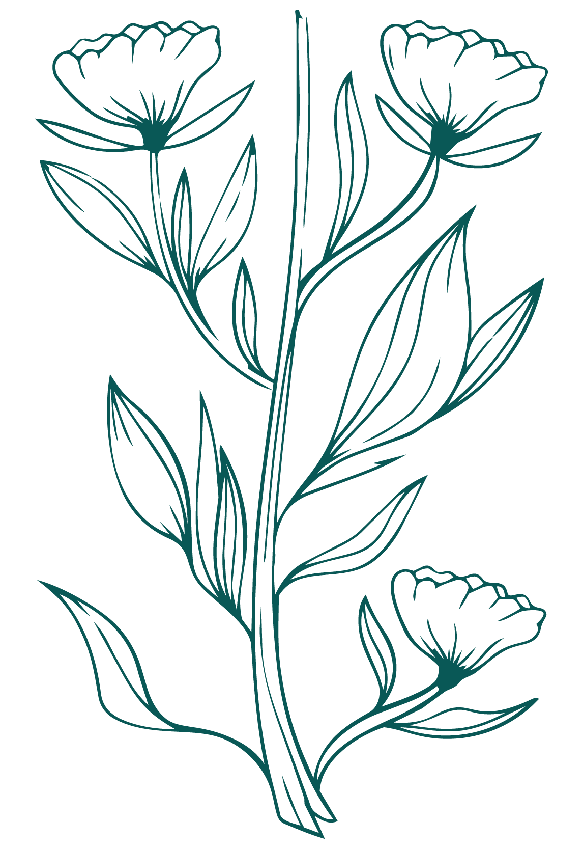 A minimalist line drawing of a flowering plant with two blooms and multiple leaves on a black background.