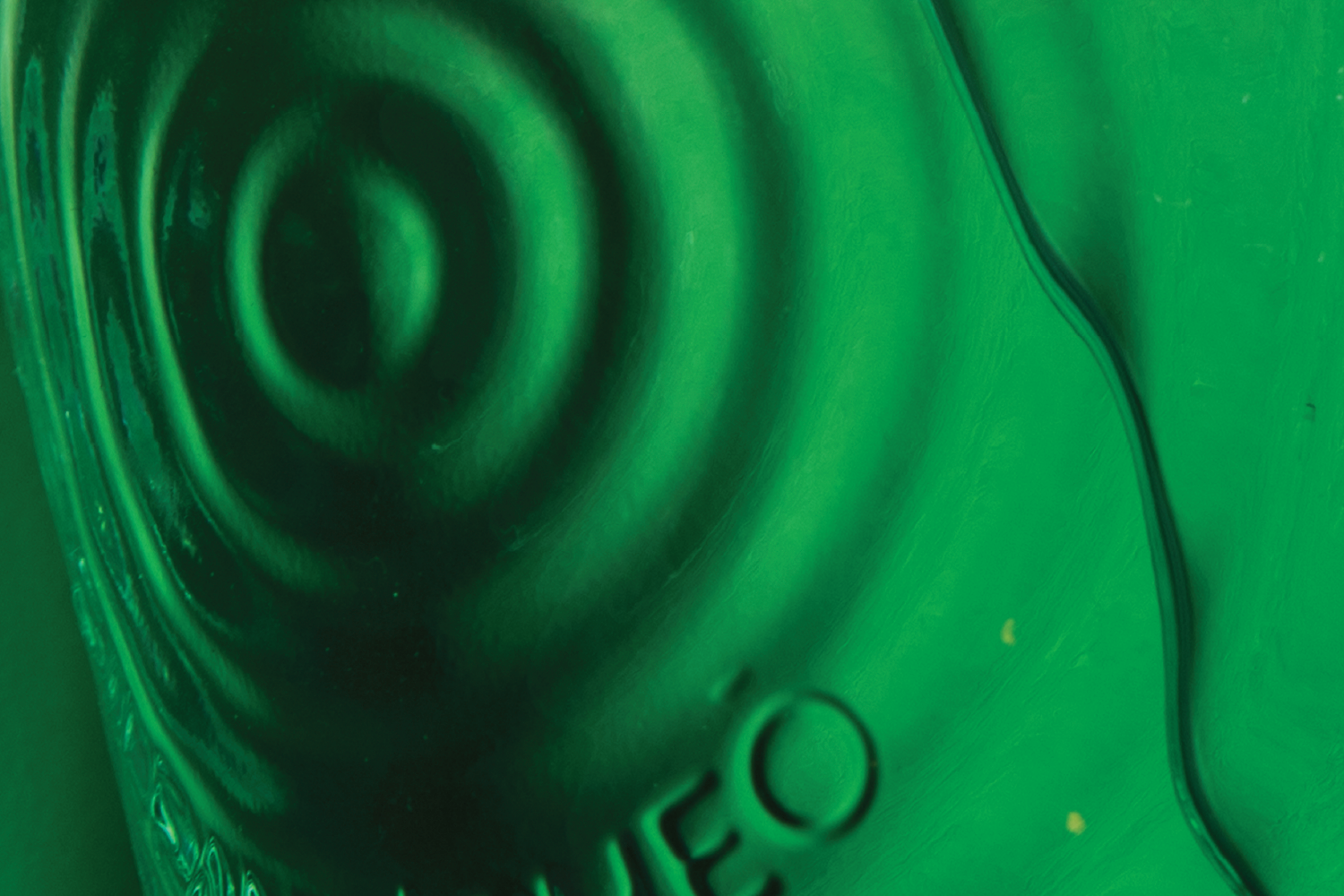 Close-up of a green banknote, showing intricate details and a spiral pattern.
