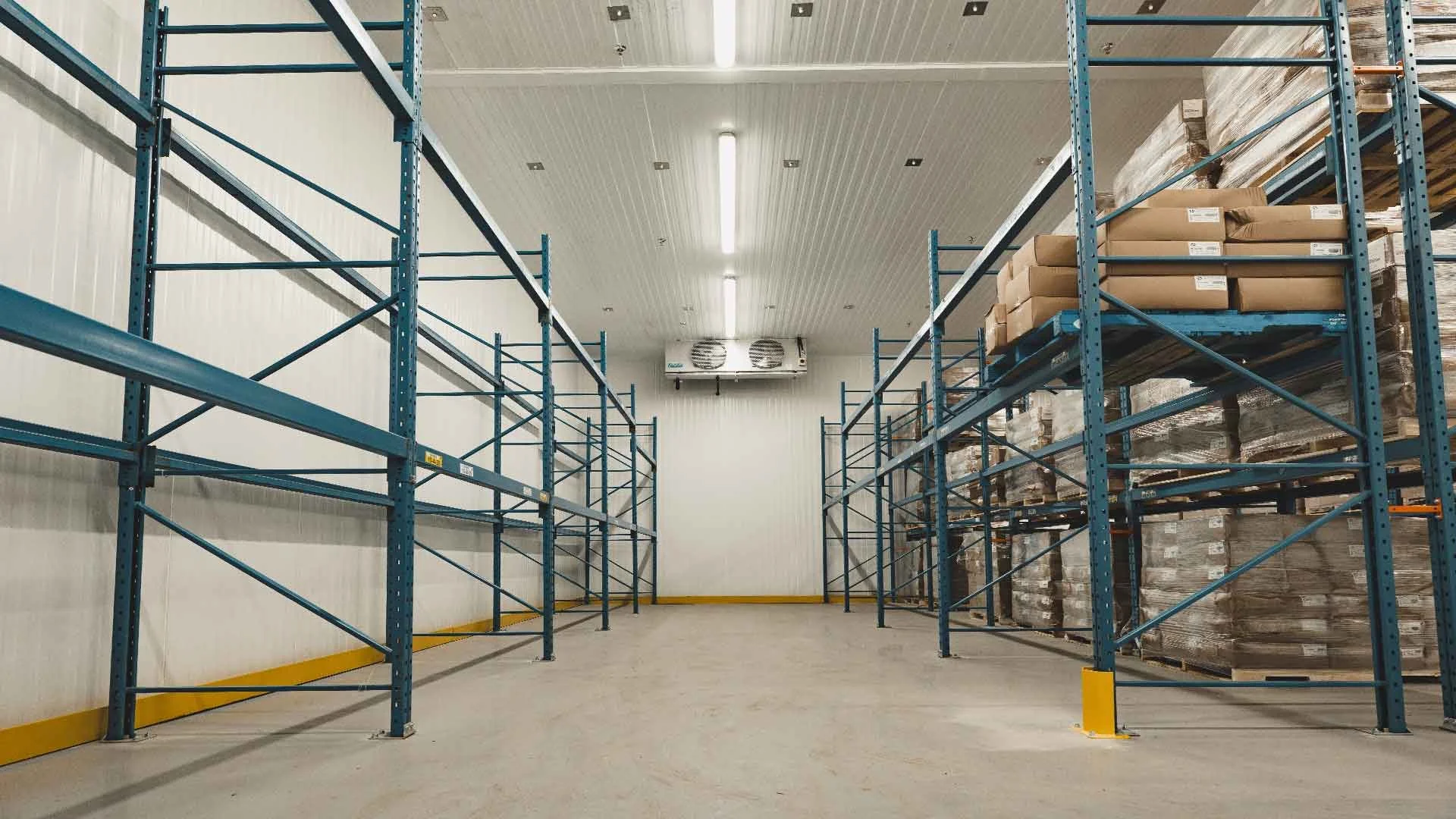 Custom-engineered warehouse cold room for food logistics and distribution in Barrie, Ontario, installed by Cold Systems.