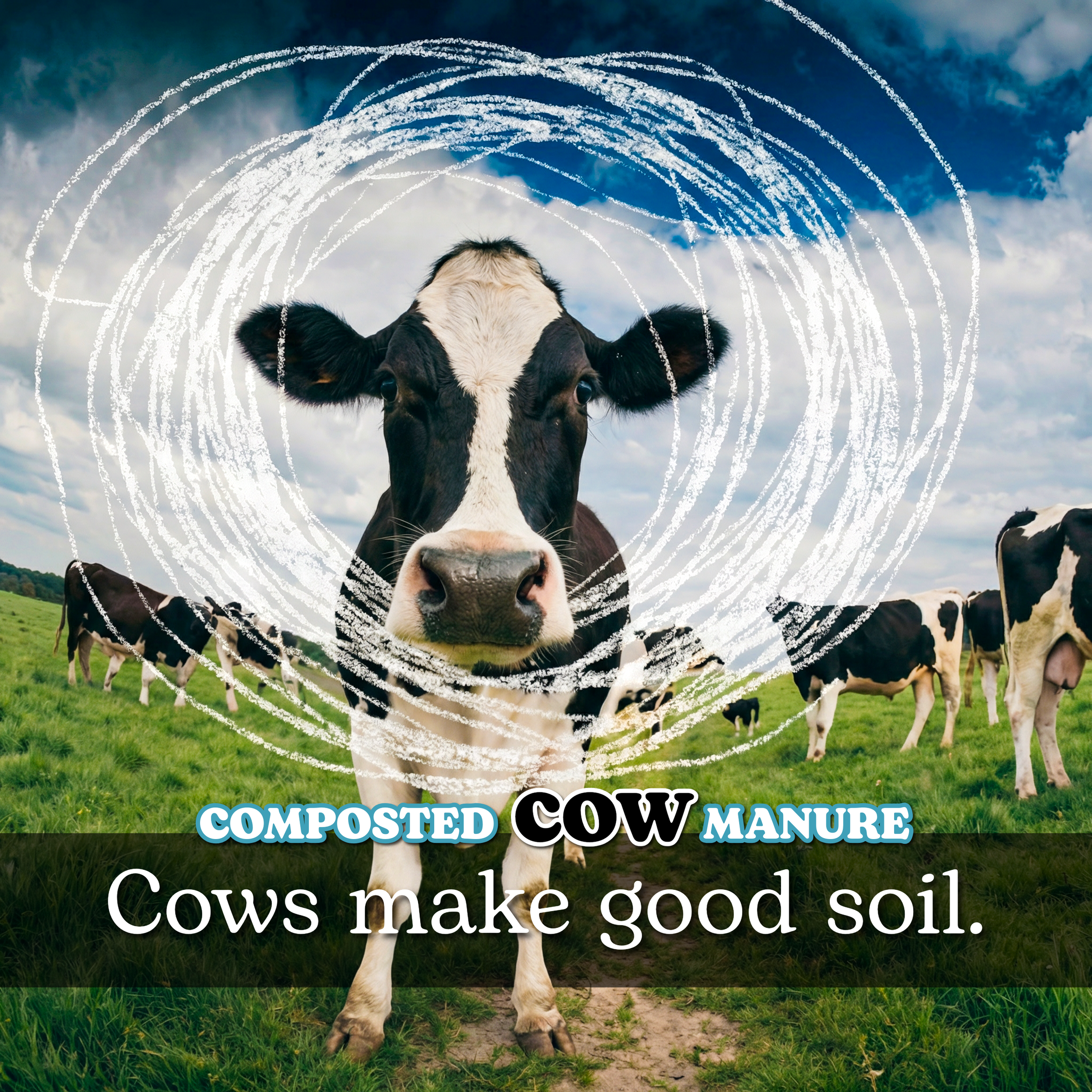 CowManure_PSA2.png