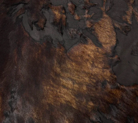 Screen Shot 2026-04-12 at 3.14.41 PM.png