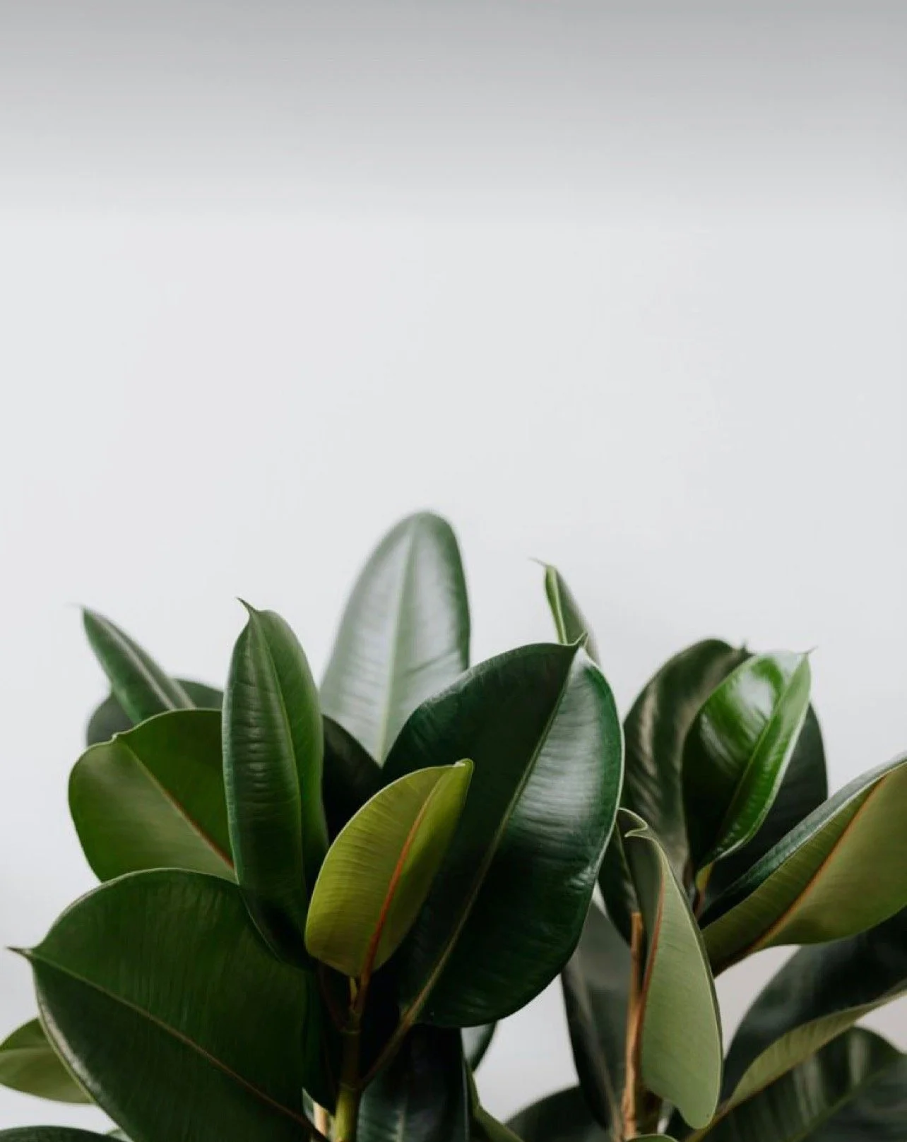 Why Most Small Businesses Are Invisible Online (And Don’t Even Realize It)