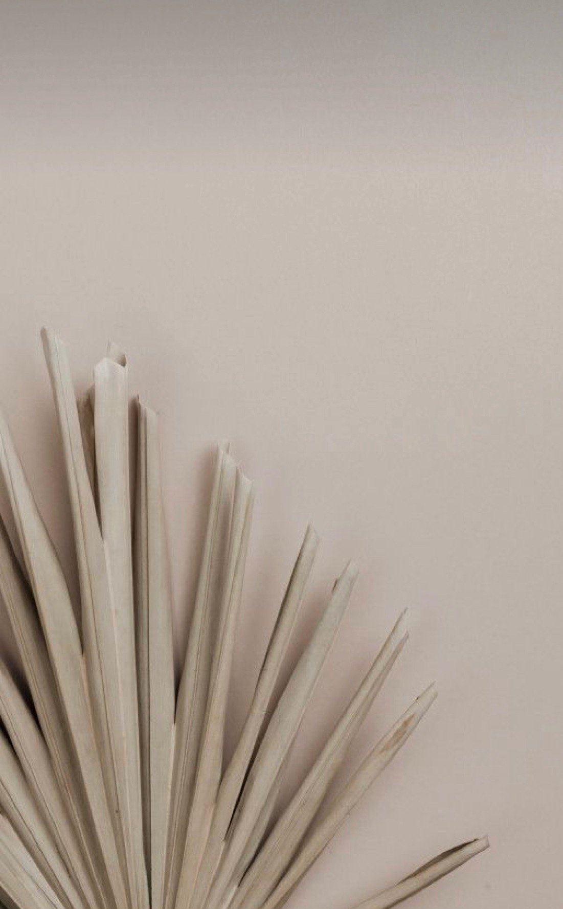 From Likes to Leads: Why Social Media Isn’t Working for Most Entrepreneurs