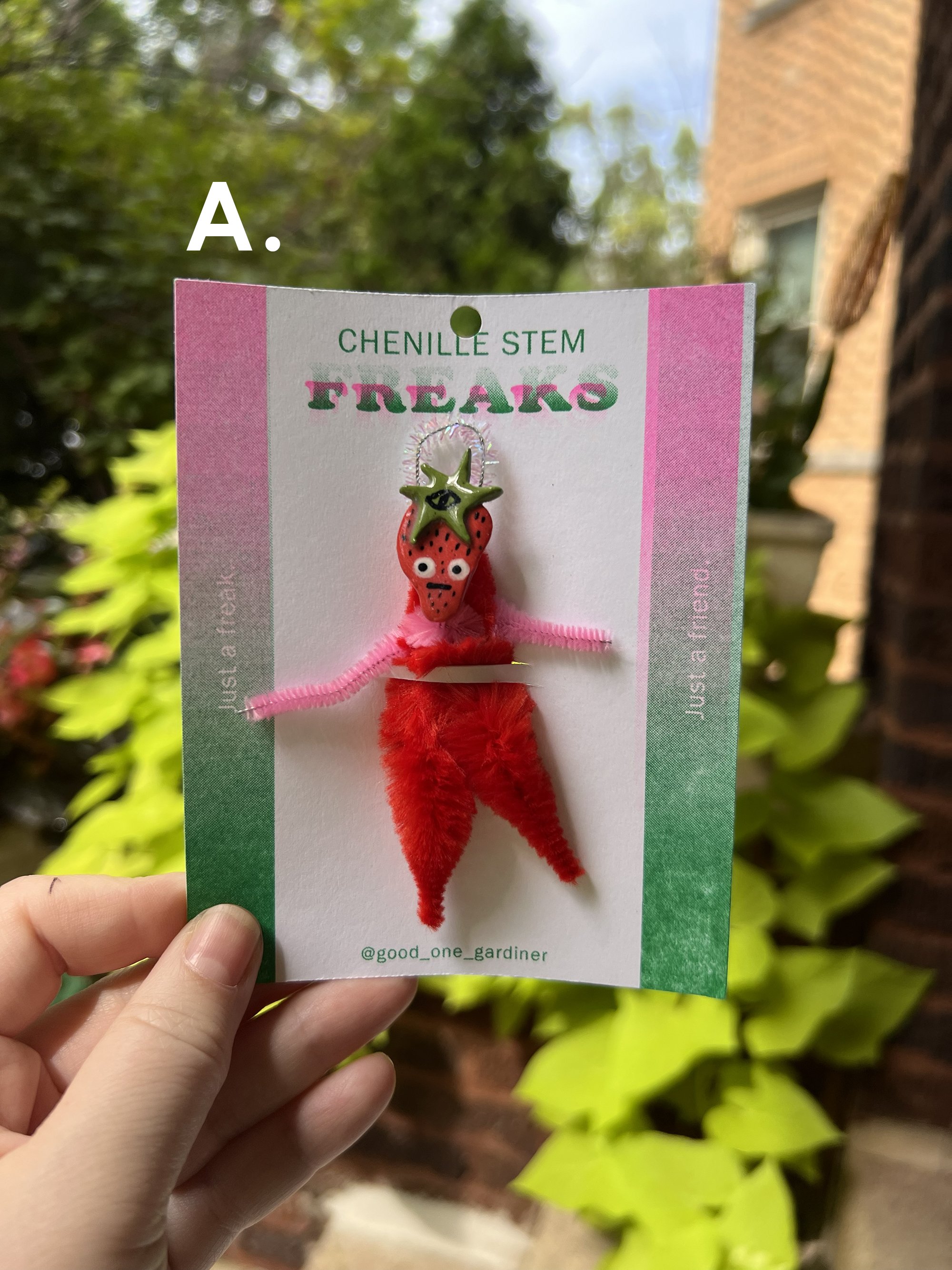 strawbA.jpg