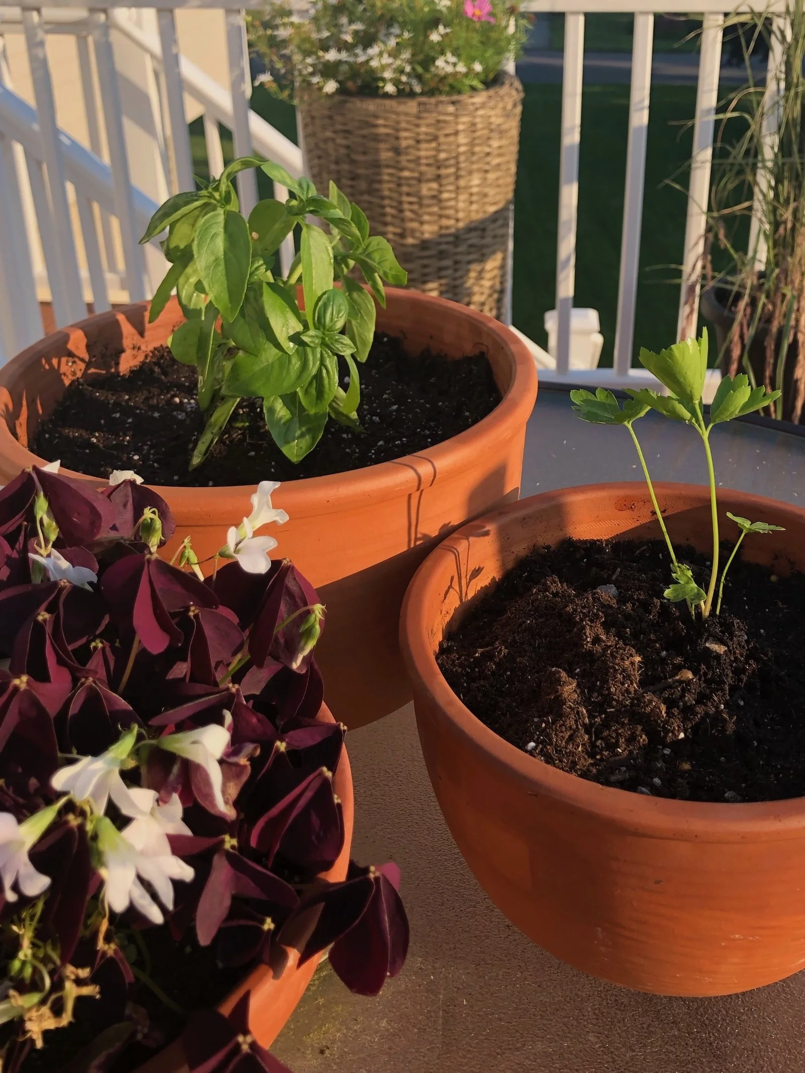 The Seasonal Edit: May — Late Spring Garden Checklist