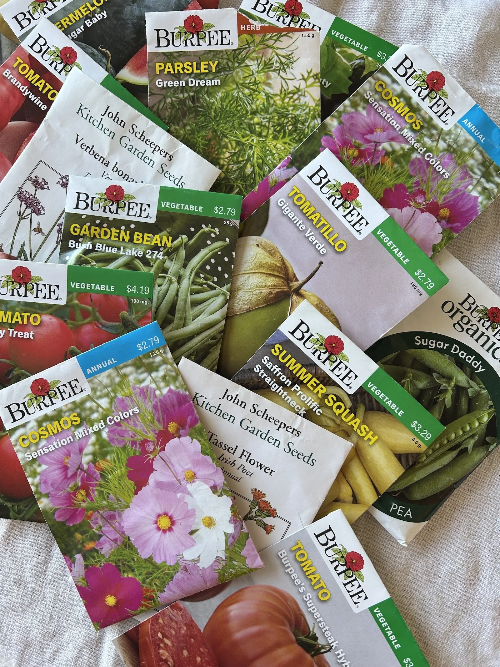 The Test Garden: A Season of Growing from Seed