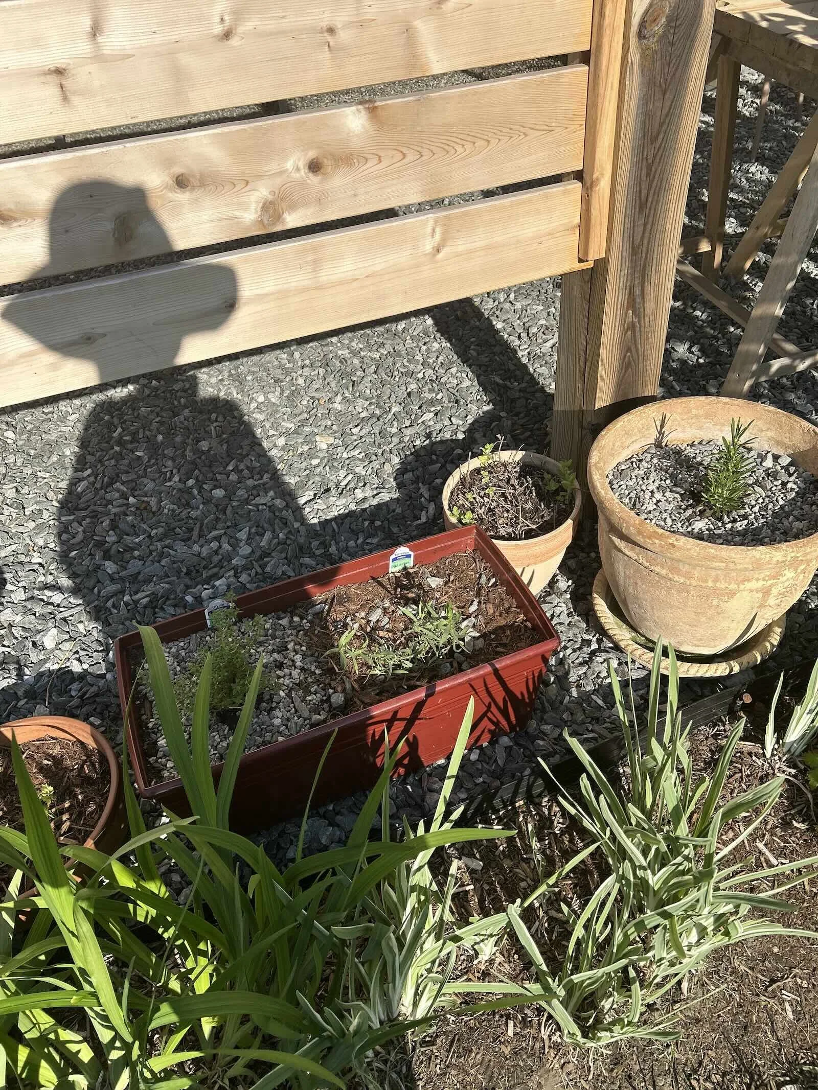 The Seasonal Edit: June/July — High Summer Garden Checklist