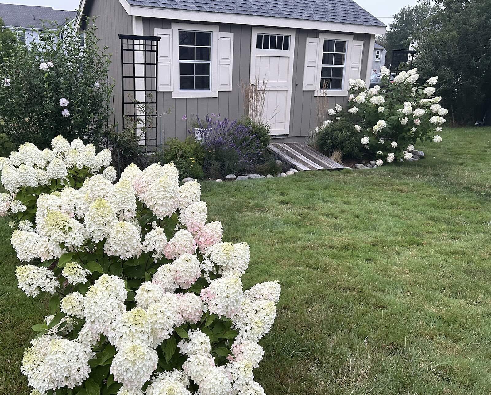 My Garden is a Work in Progress, Not a Failure