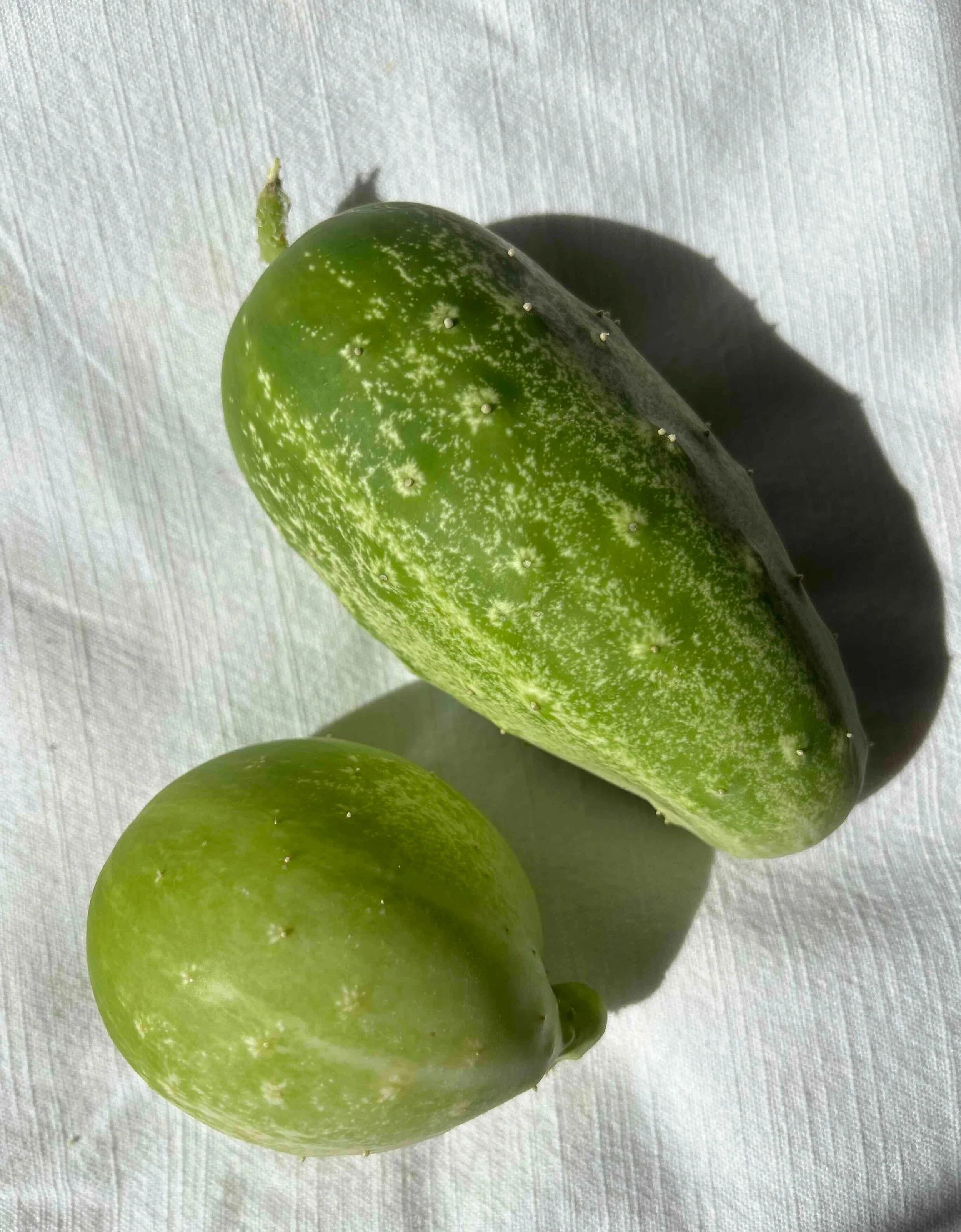 Wall of Shame, No. 1: Pickle or Pear?