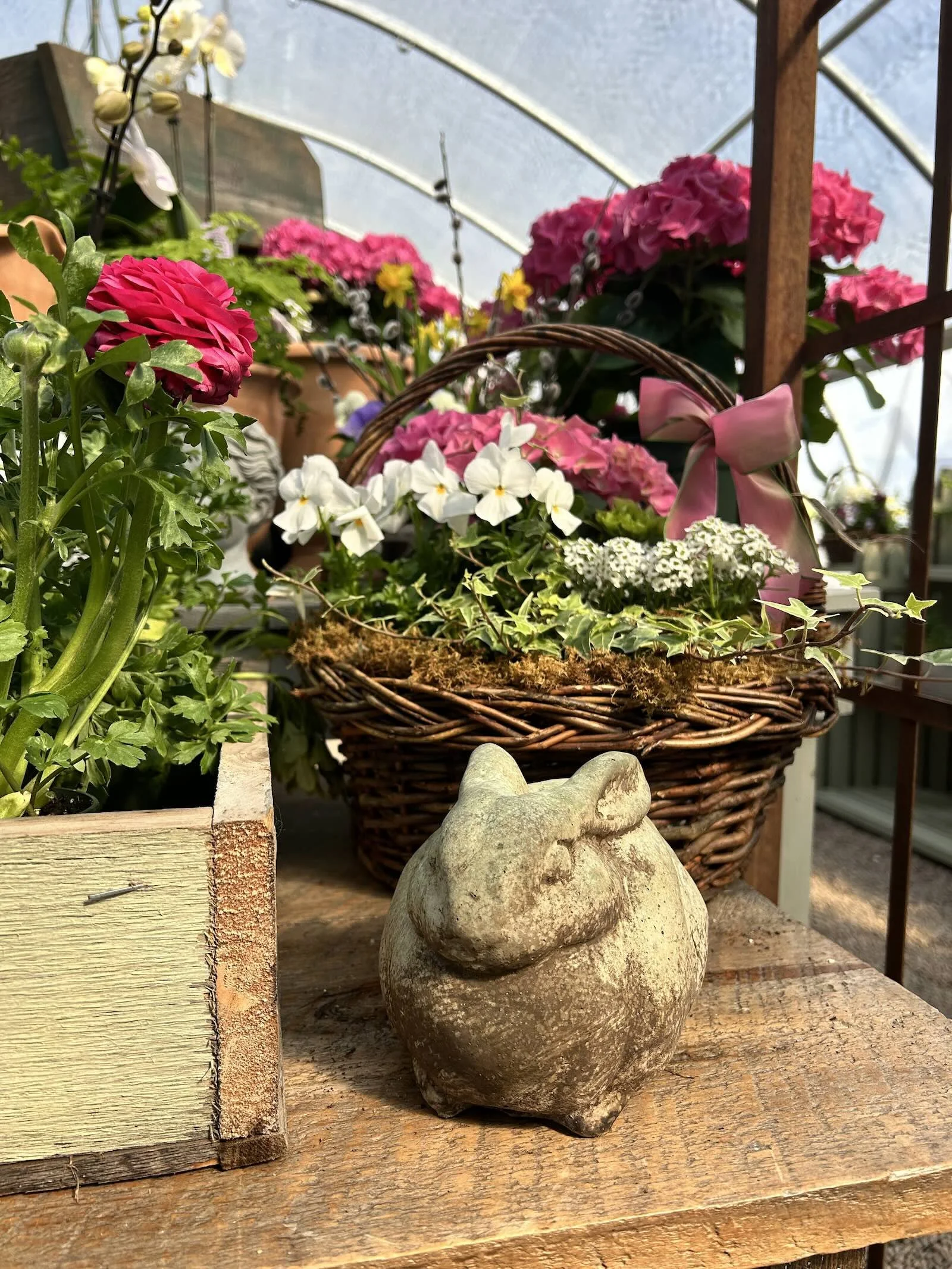 pansies bunny early spring Easter basket container idea