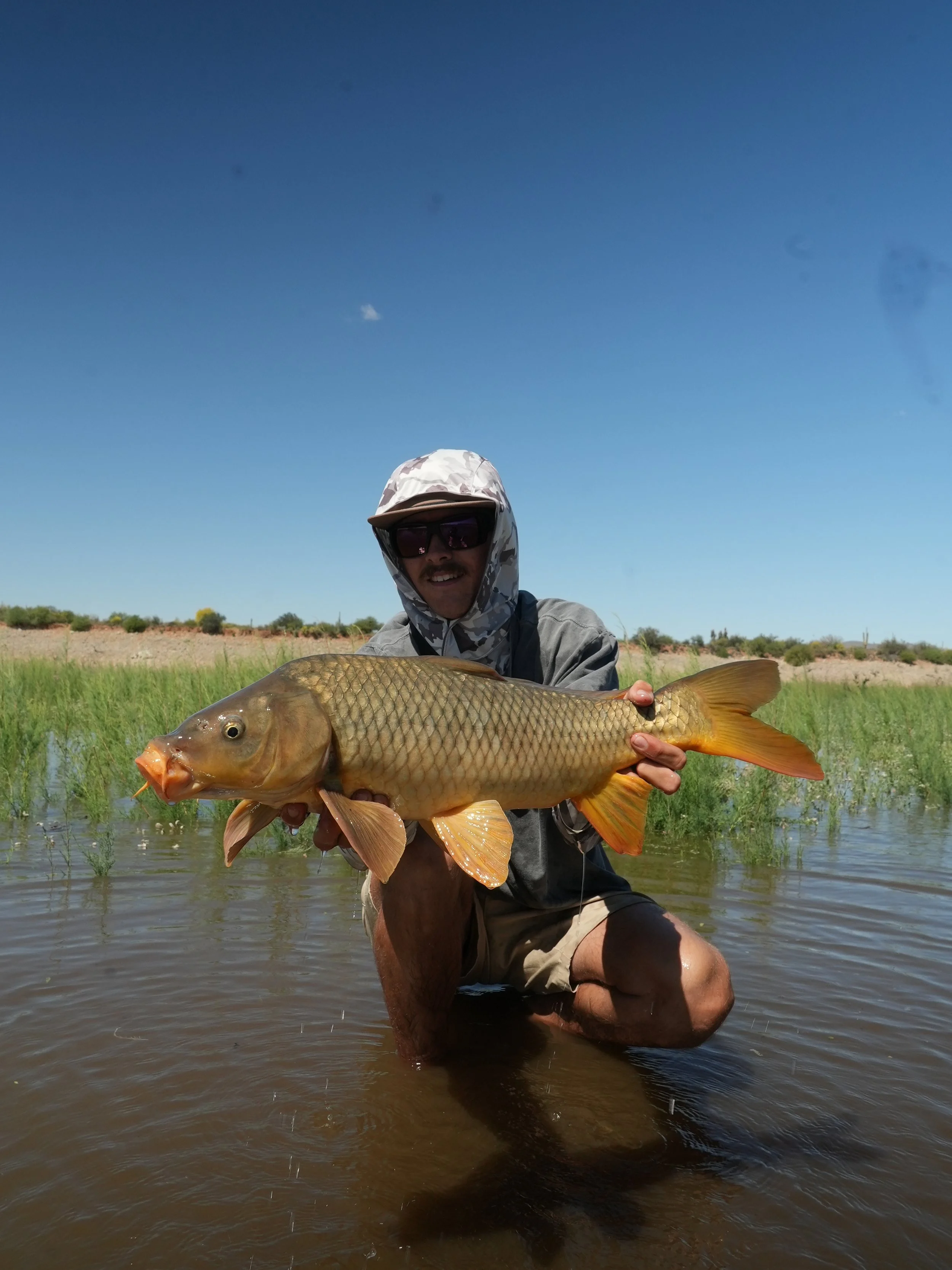 Lake Carp