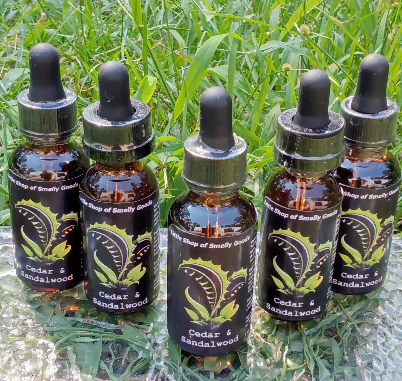 Cedar & Sandalwood 2.jpg (Copy)