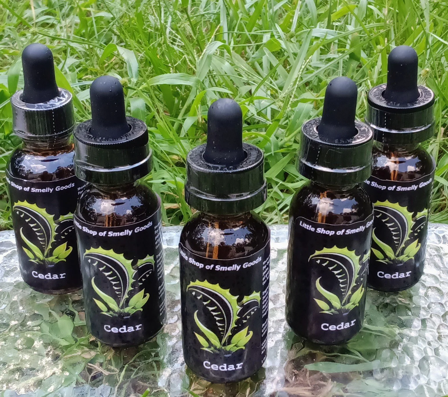 Cedar & Sandalwood 3.jpg (Copy)