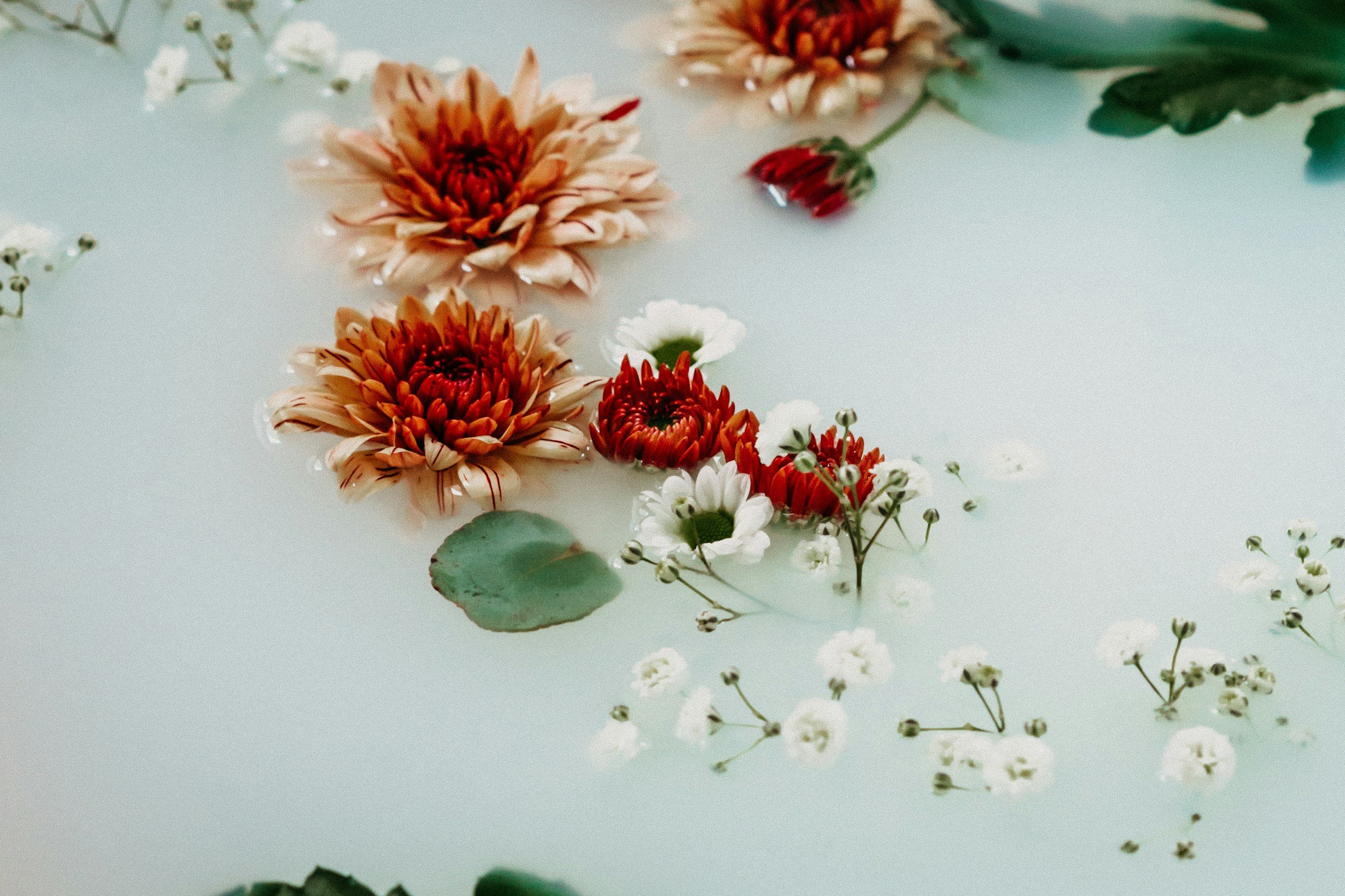 Floating orange and red flowers with white and green accents in pale water.