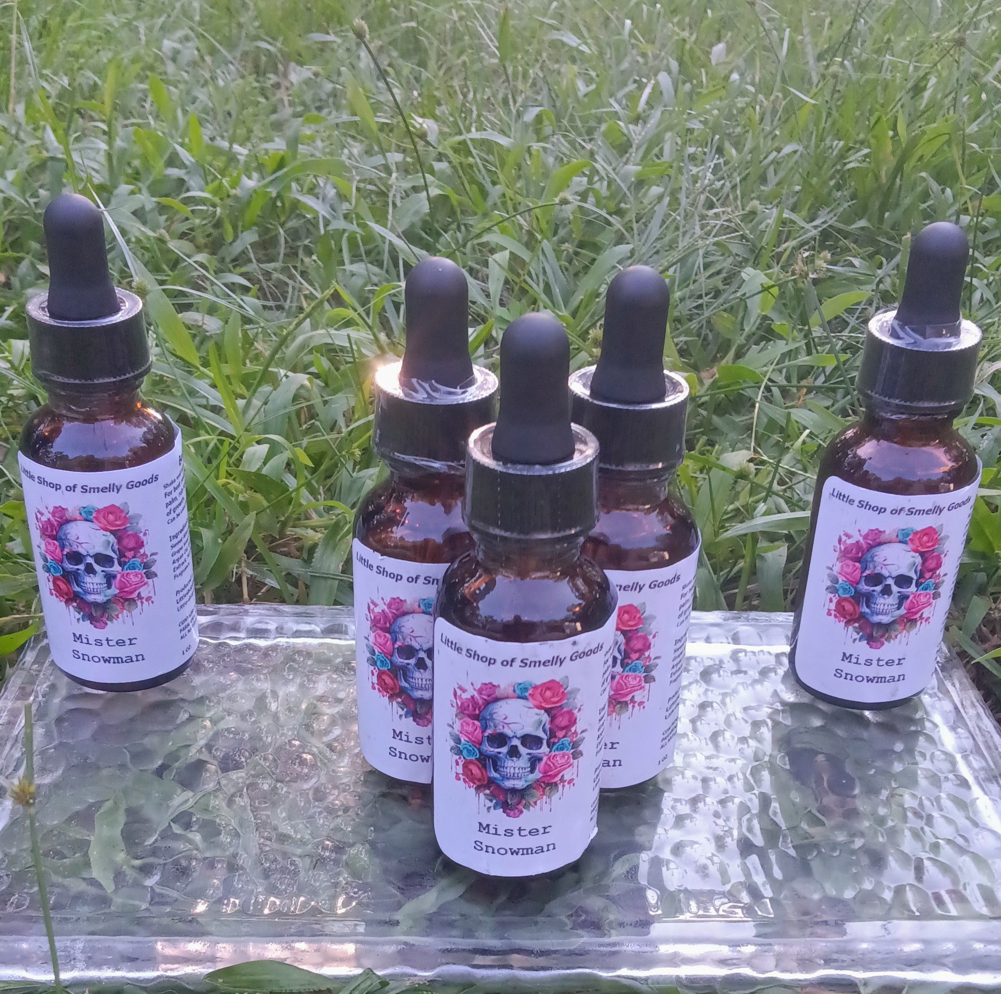 Mister Snowman 2.jpg (Copy)