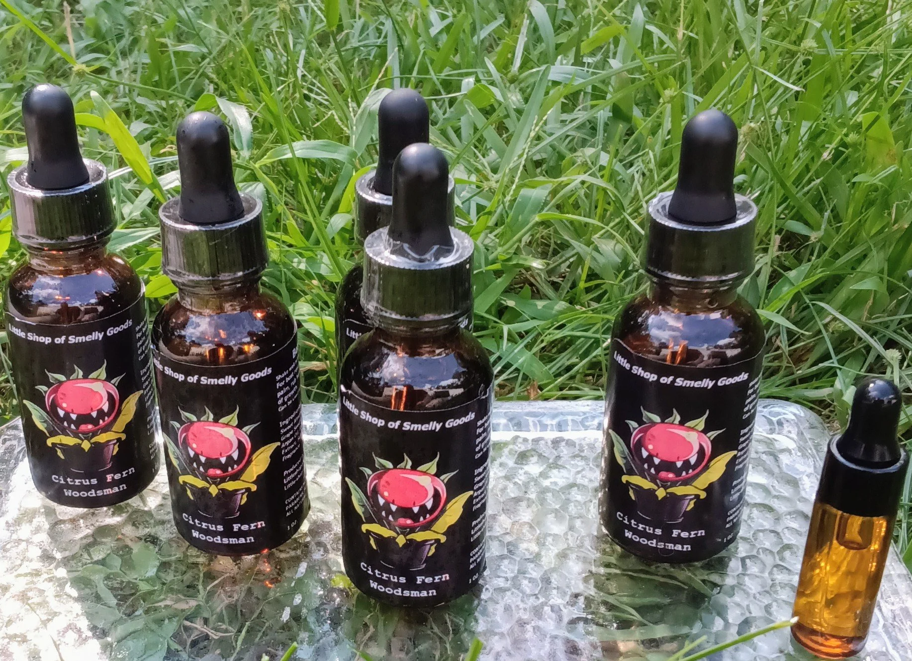 Citrus Fern Woodsman 1.jpg (Copy)