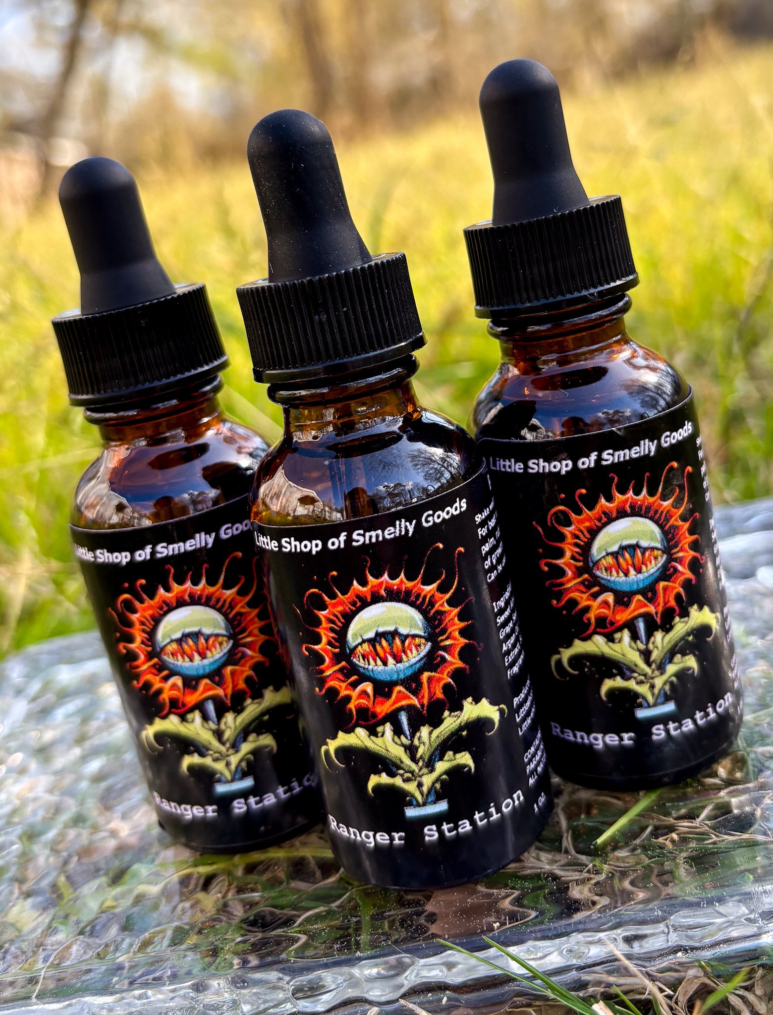 Ranger Station 3.jpg (Copy)