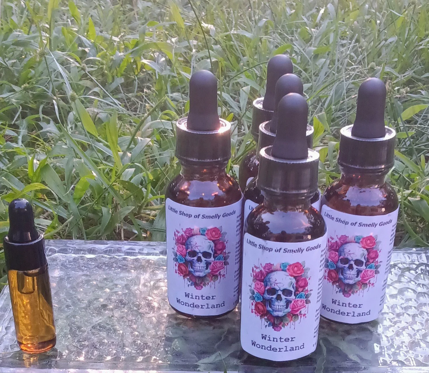 Winter Wonderland 2.jpg (Copy)