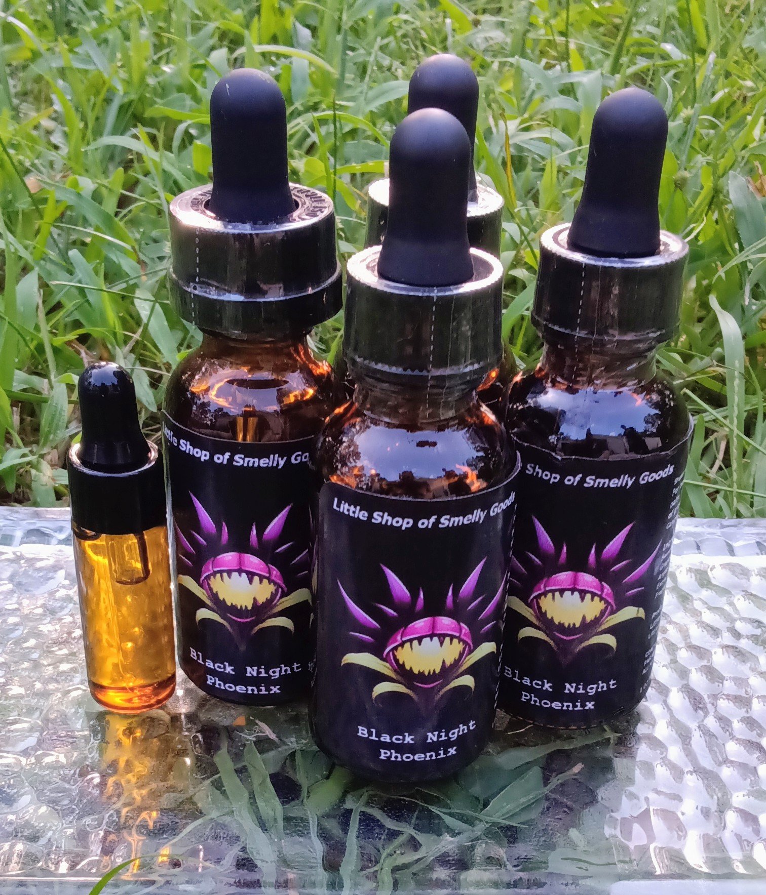 Black Night Pheonix 3.jpg (Copy)