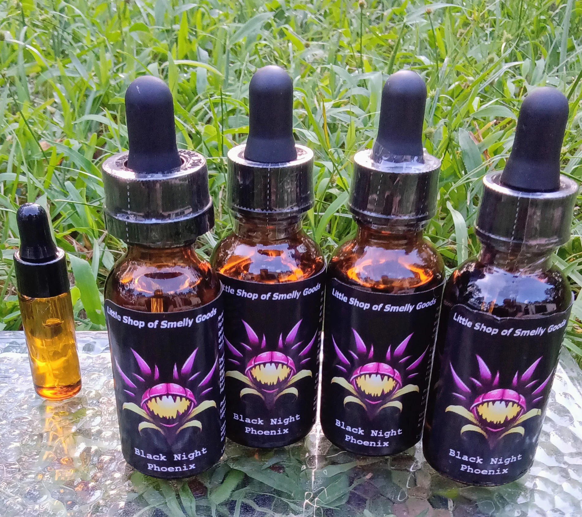 Black Night Pheonix 1.jpg (Copy)