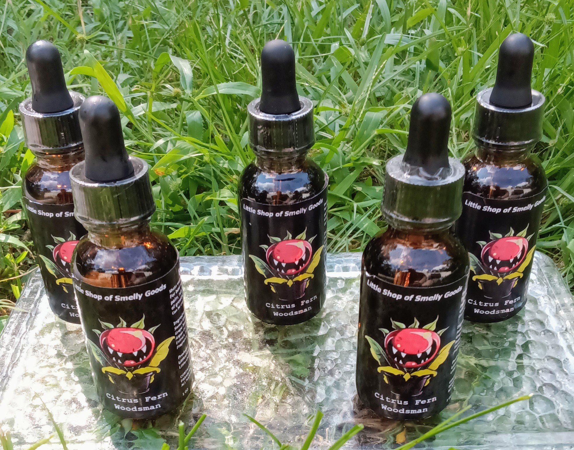 Citrus Fern Woodsman 2.jpg (Copy)