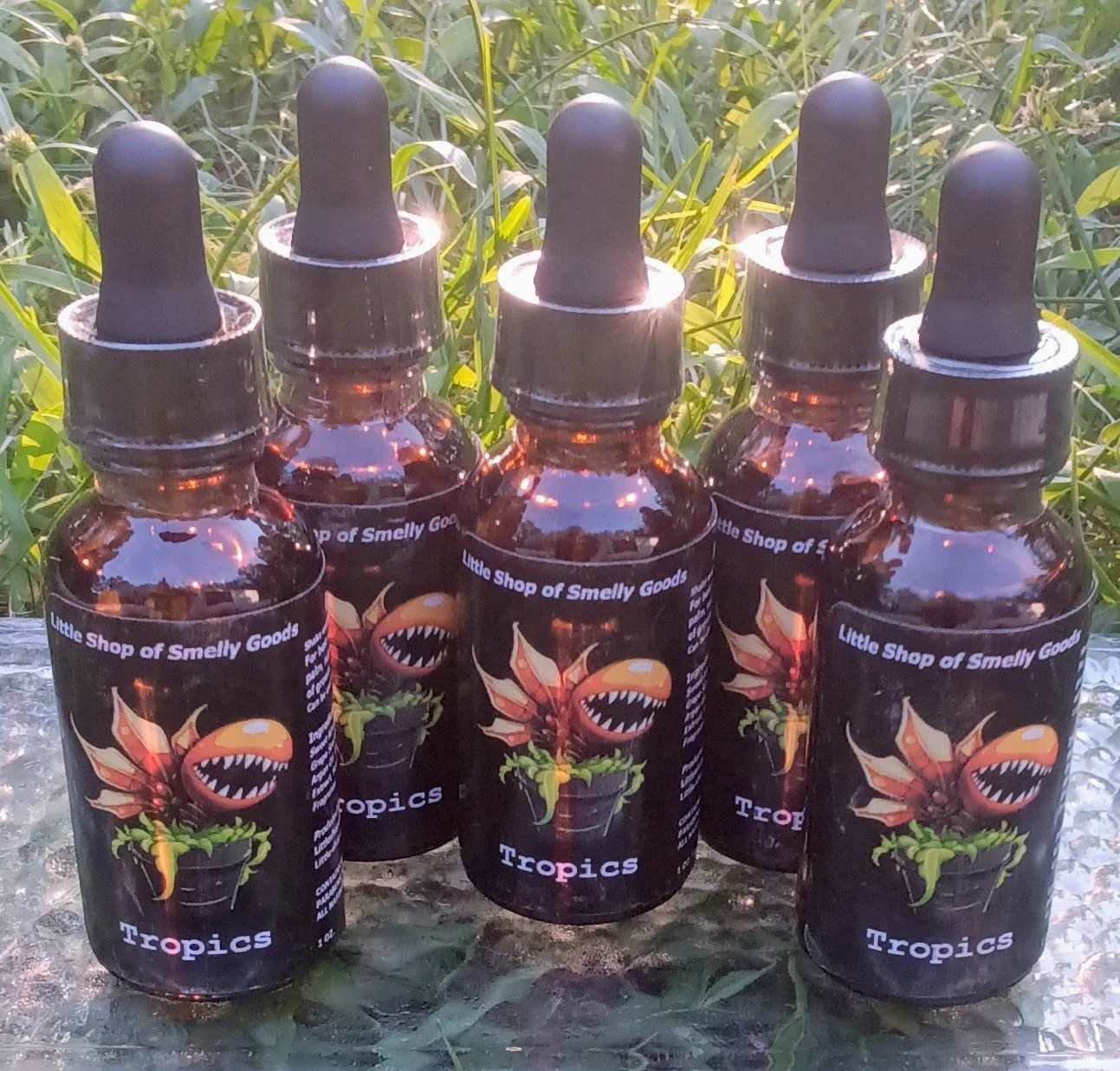 Tropics 2.jpg (Copy)