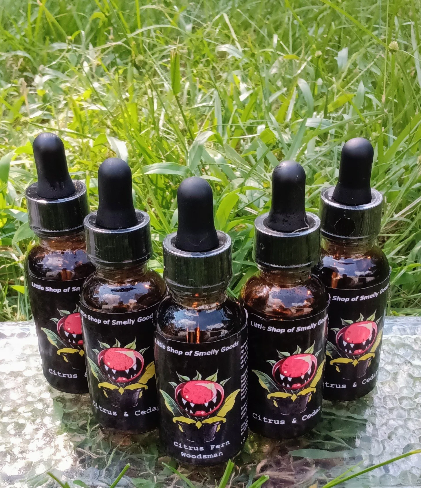 Citrus & Cedar 3.jpg