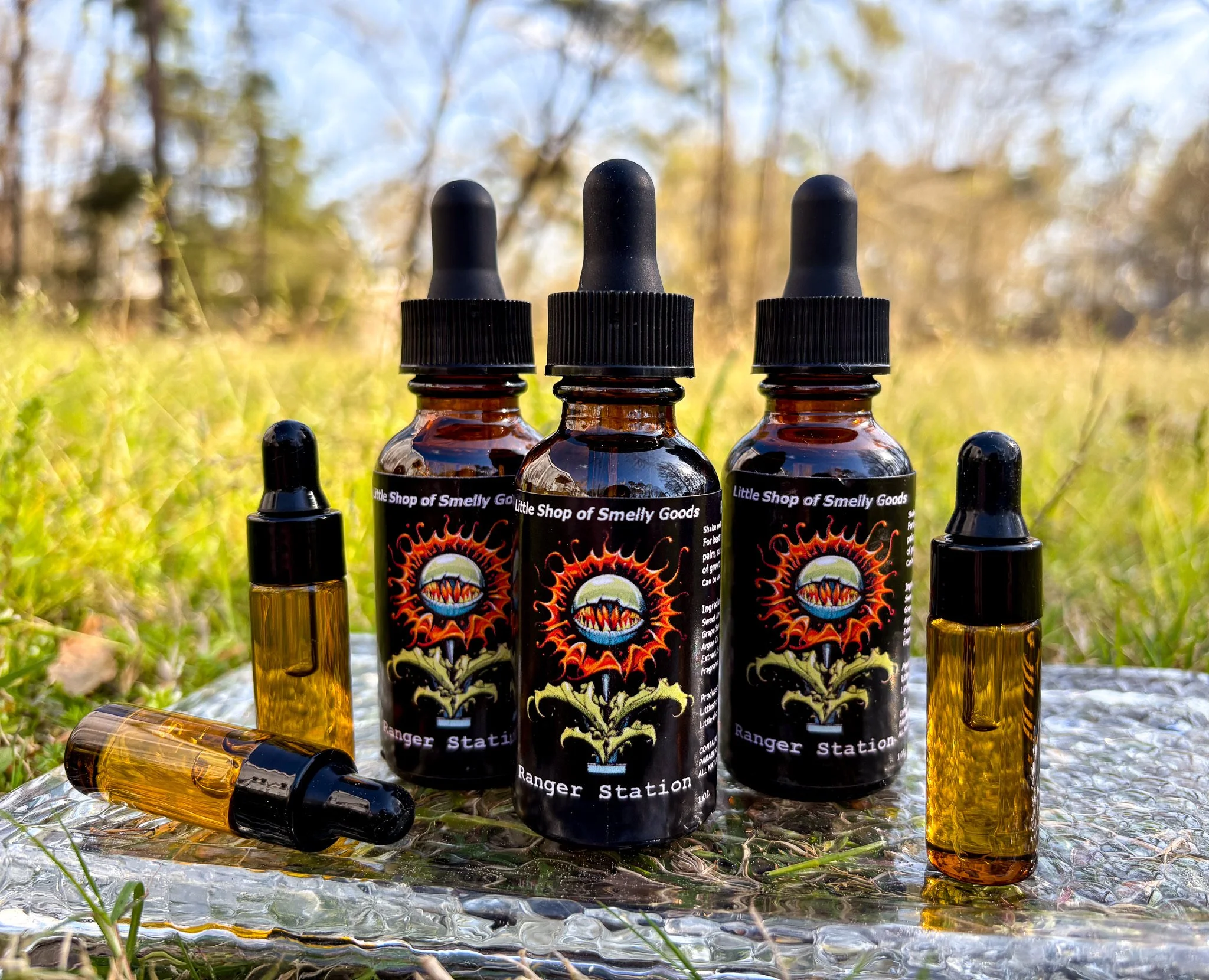 Ranger Station 2.jpg (Copy)