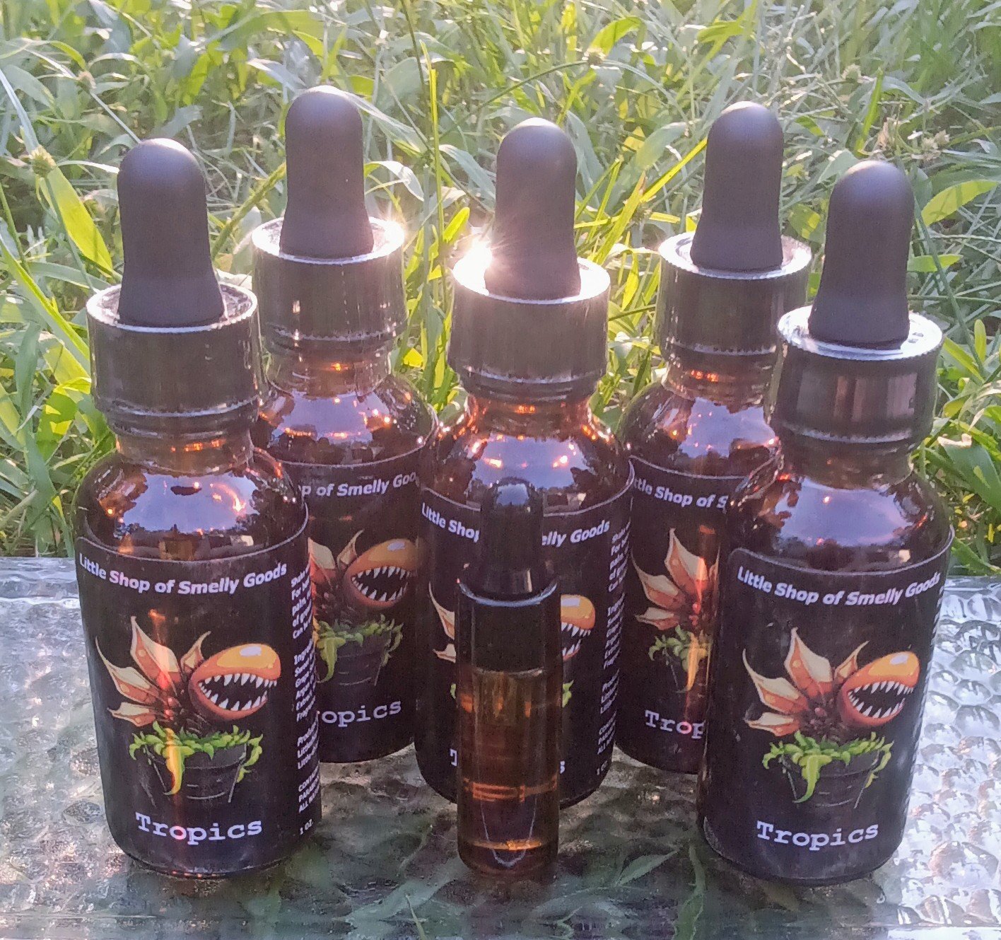 Tropics 3.jpg (Copy)