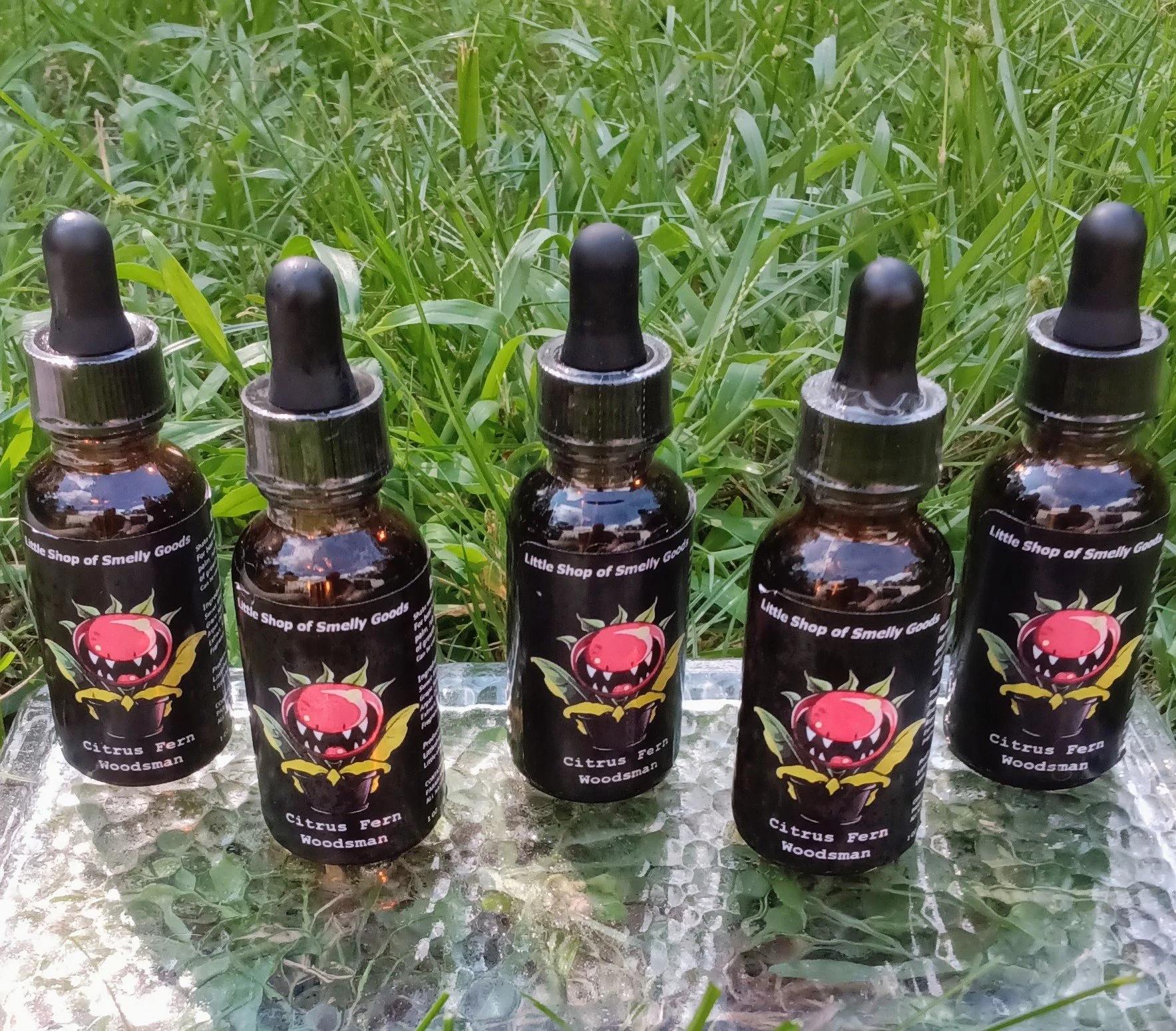 Citrus Fern Woodsman 3.jpg (Copy)