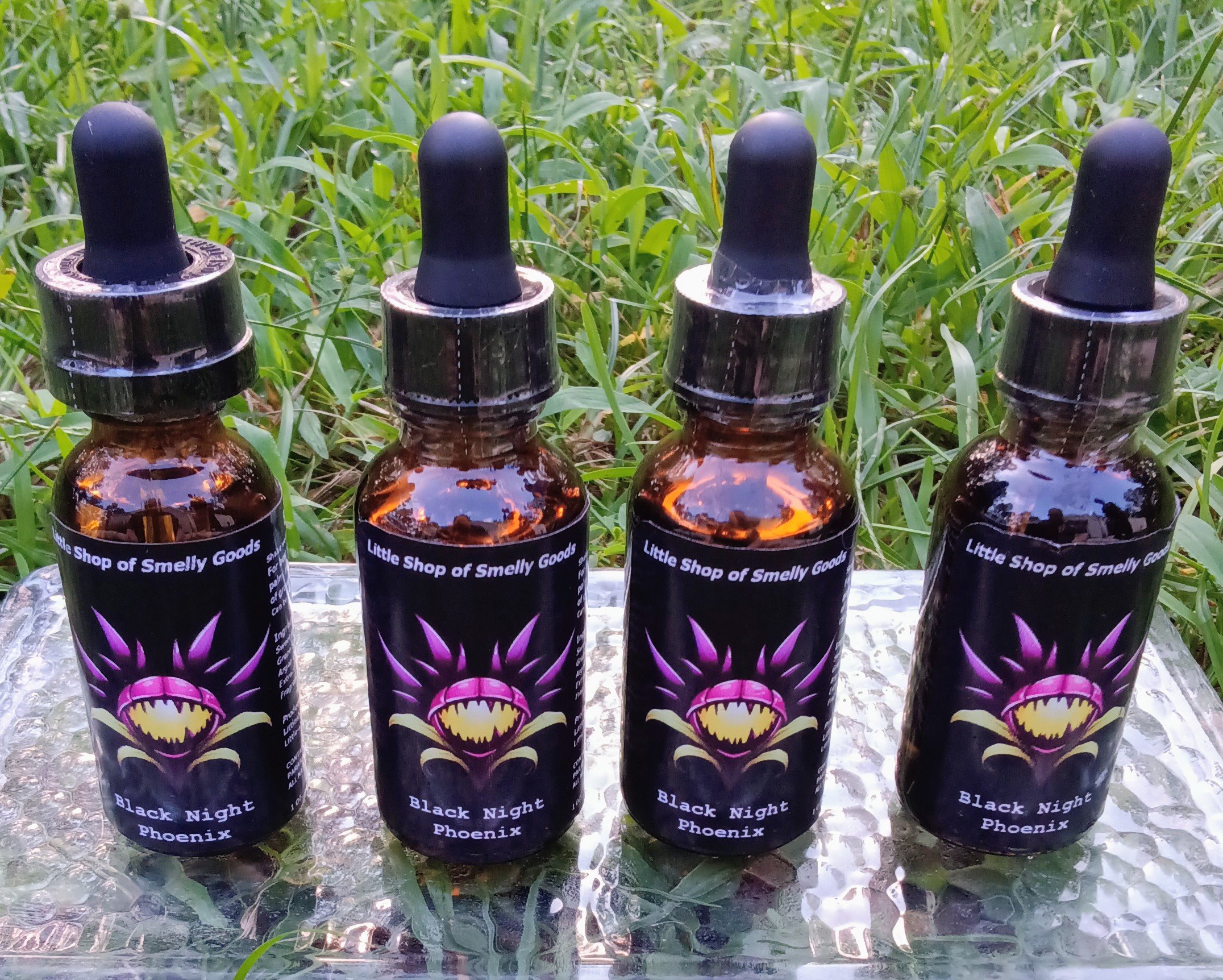 Black Night Pheonix 2.jpg (Copy)