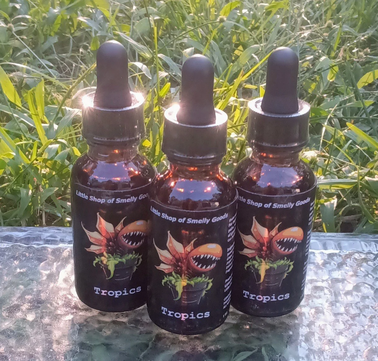 Tropics 1.jpg (Copy)