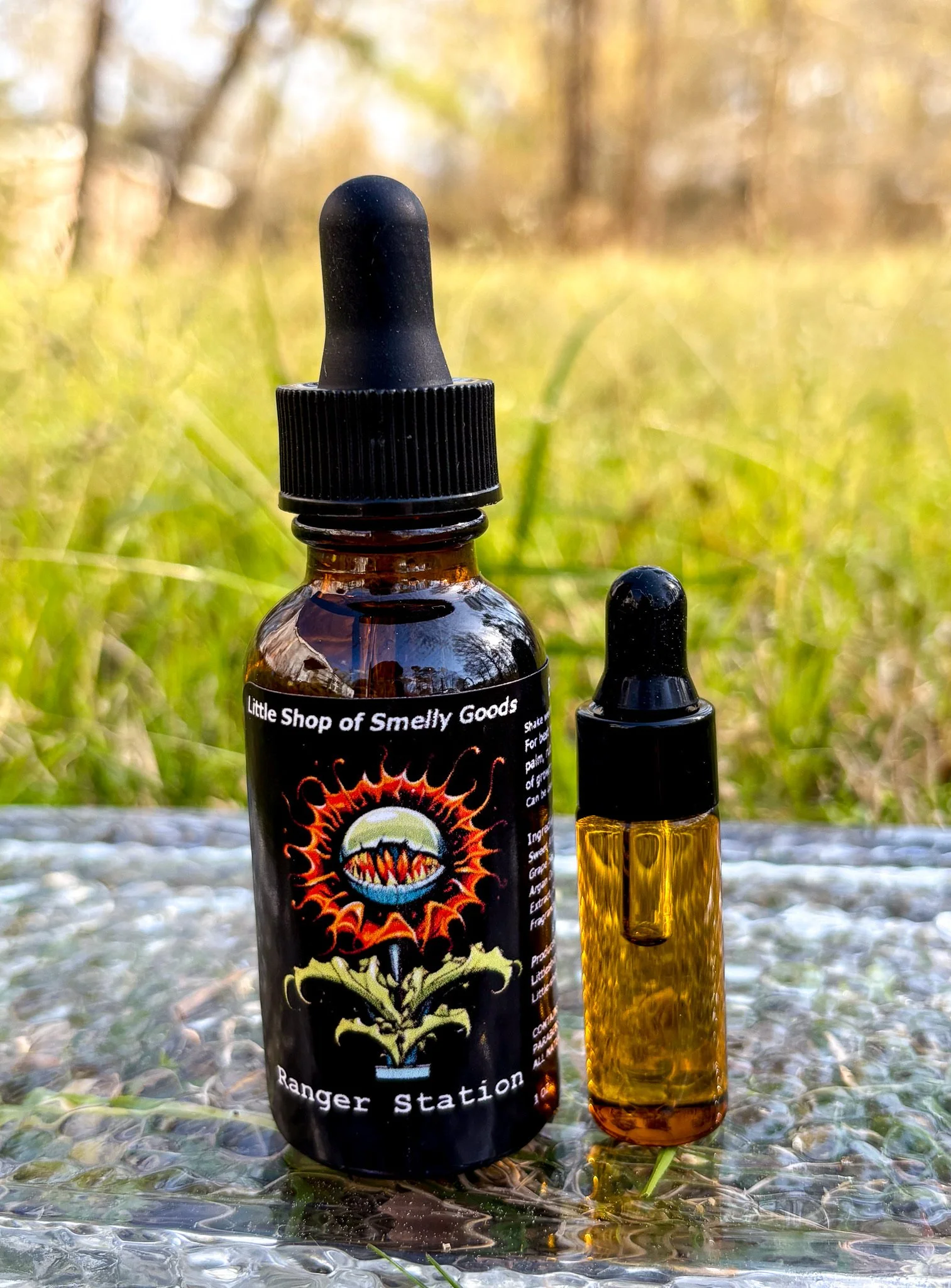 Ranger Station.jpg (Copy)