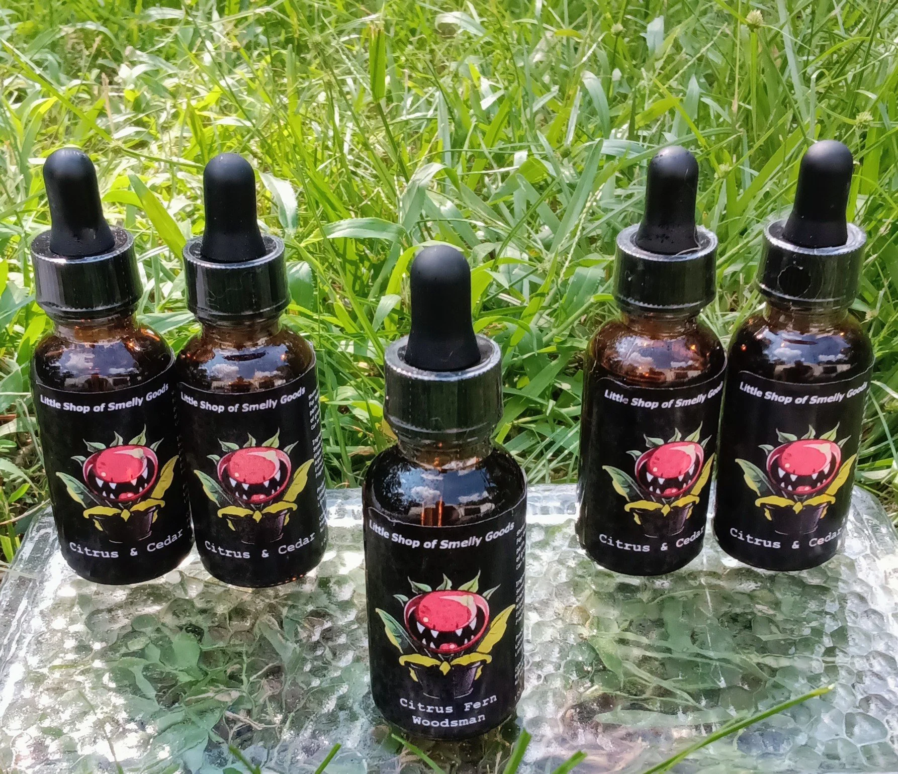 Citrus & Cedar 1.jpg