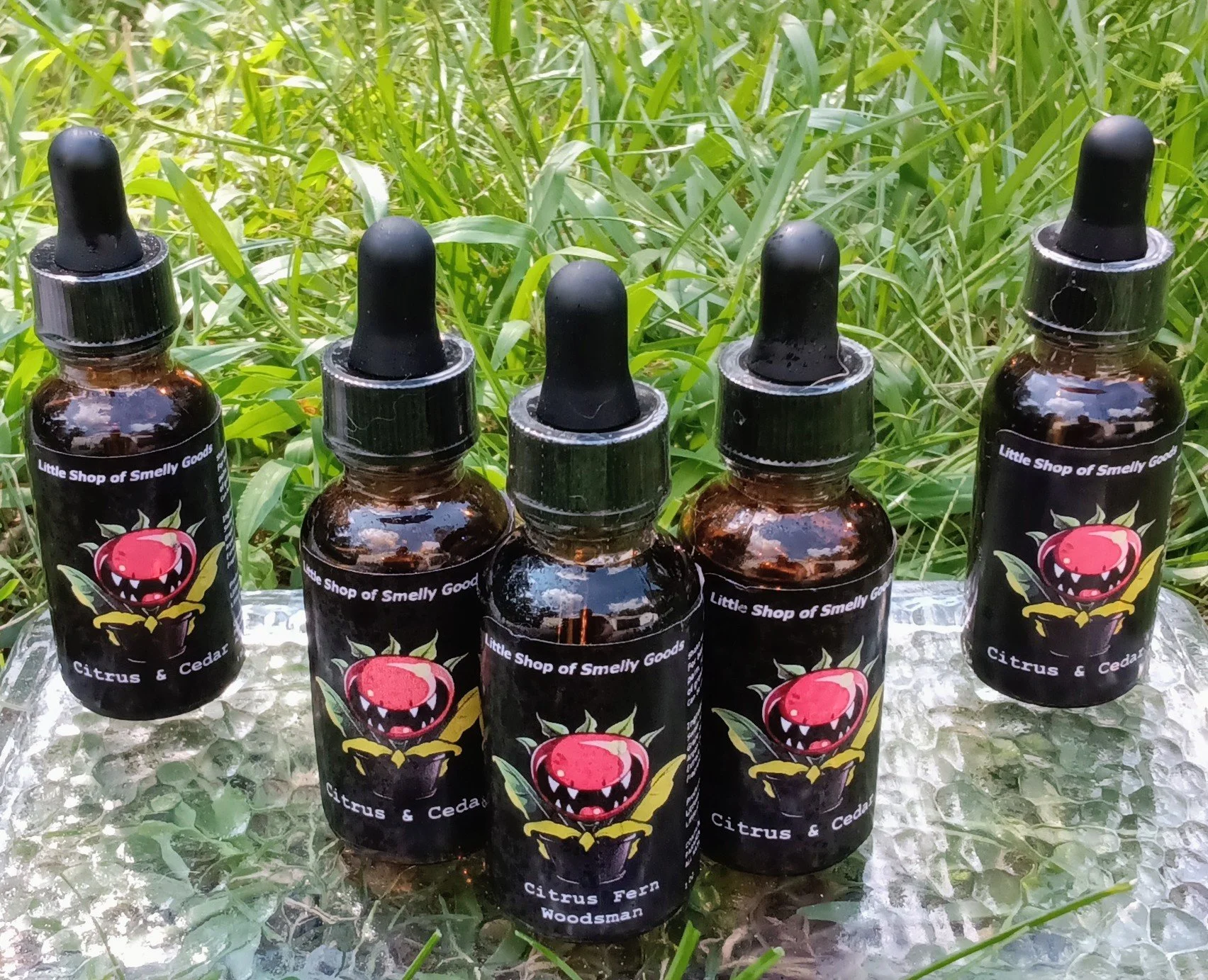 Citrus & Cedar 2.jpg