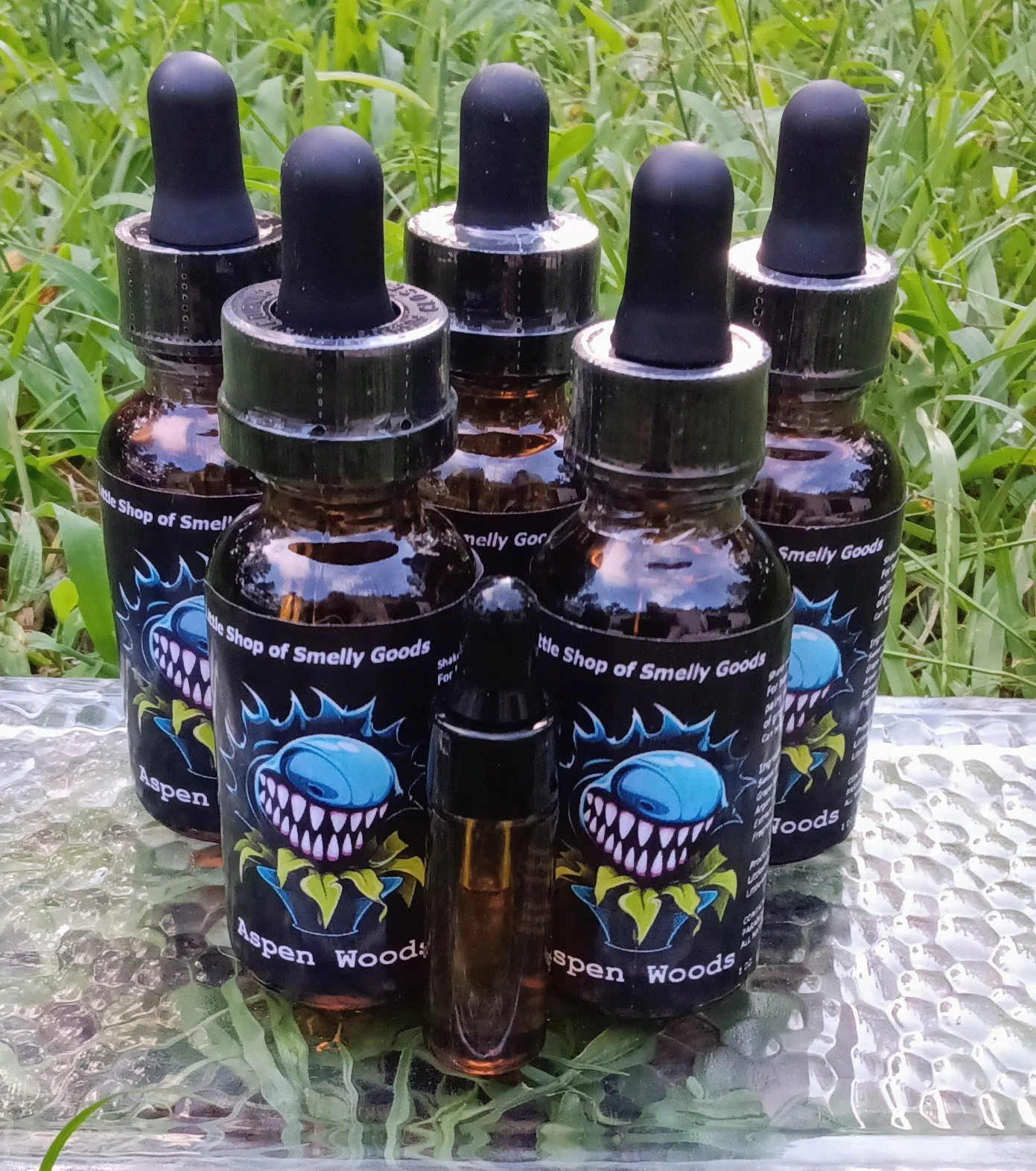 Aspen Woods 2.jpg (Copy)