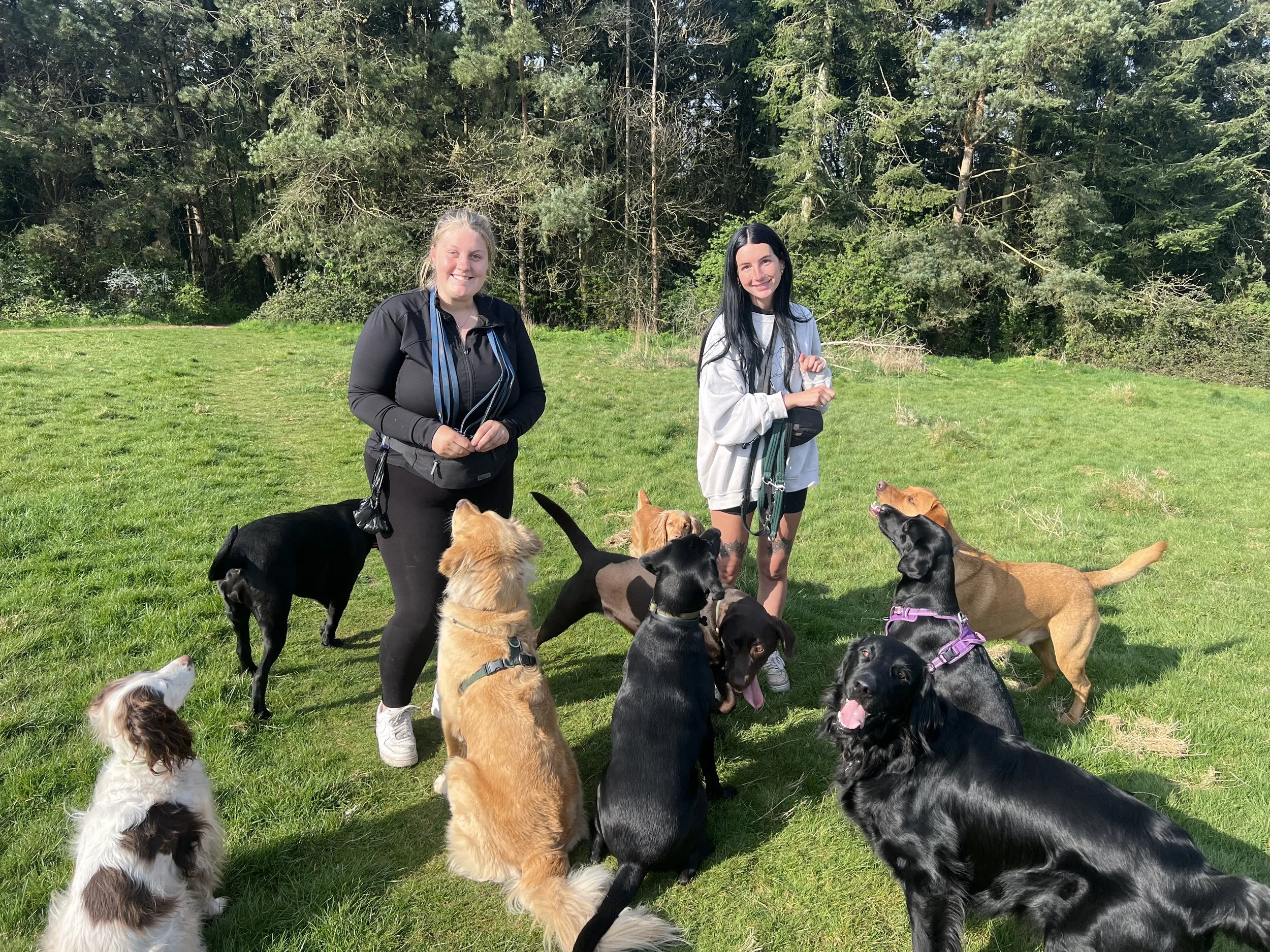 Two women stand on a grassy field surrounded by multiple dogs of various breeds, some sitting and others standing, with a background of trees.