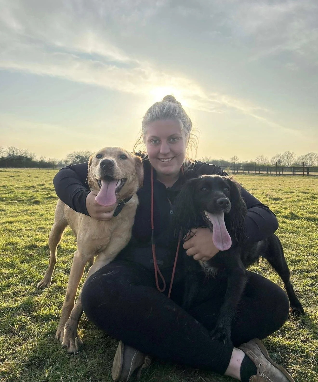 A woman sitting on the grass in a field during sunset, holding two dogs, one tan and the other black, both with tongues out and happy expressions.