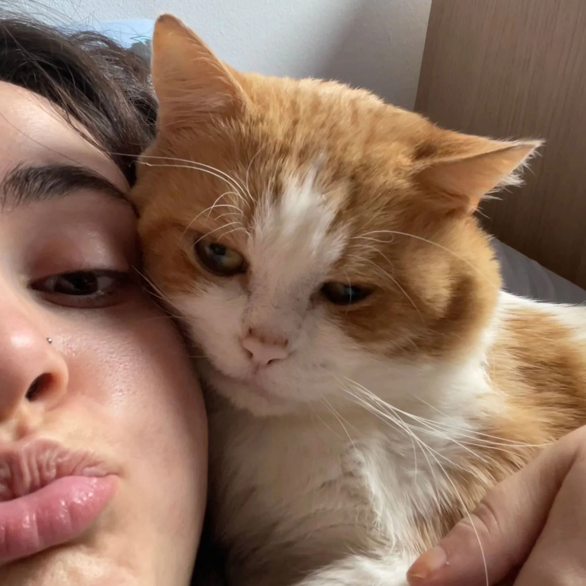 Una persona con cabello oscuro y piel clara, haciendo un gesto de beso a una gata de pelaje naranja y blanco que está muy cerca de su rostro, en un entorno interior.