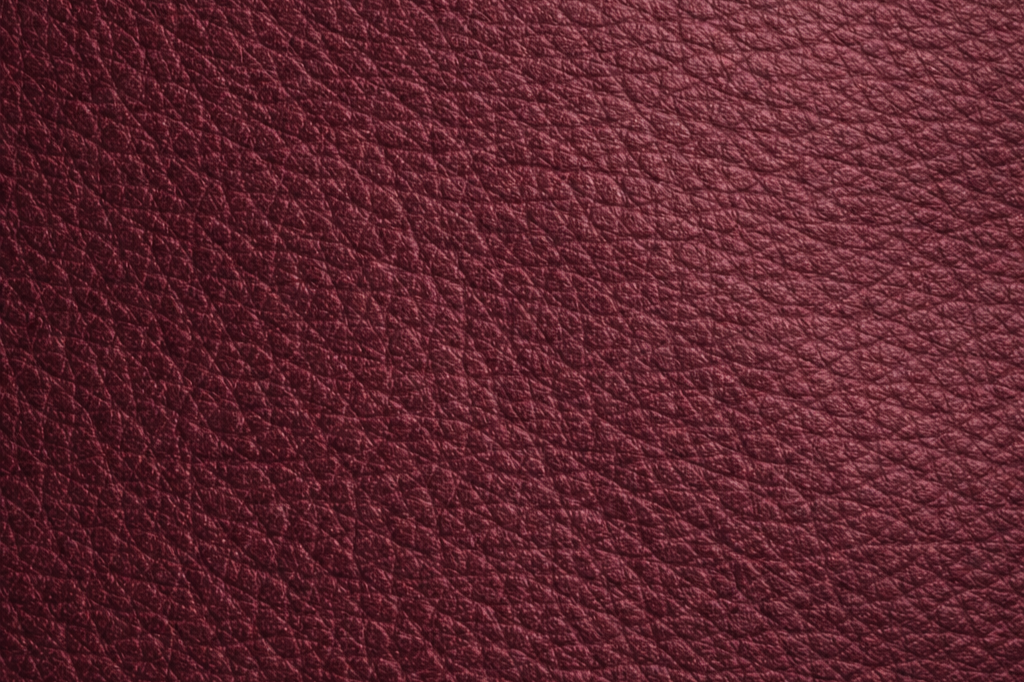 Close-up of textured red leather material.